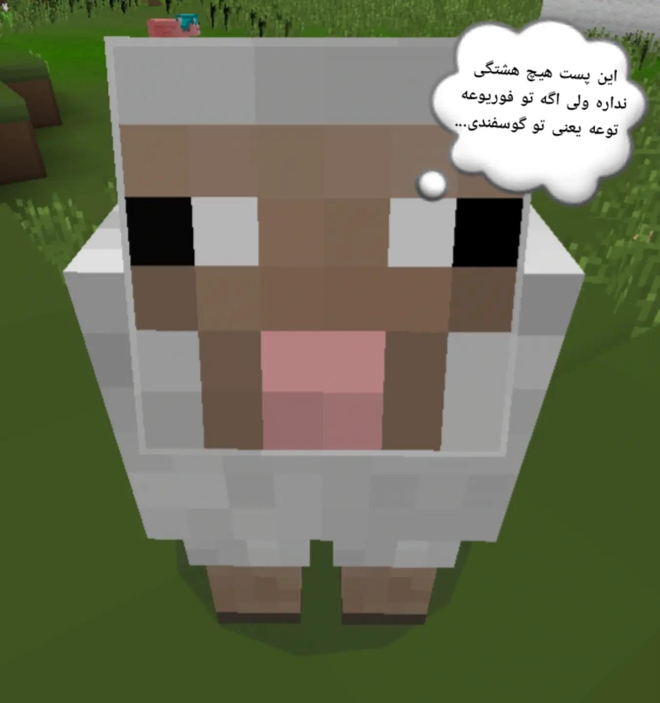 @sorosha🐑