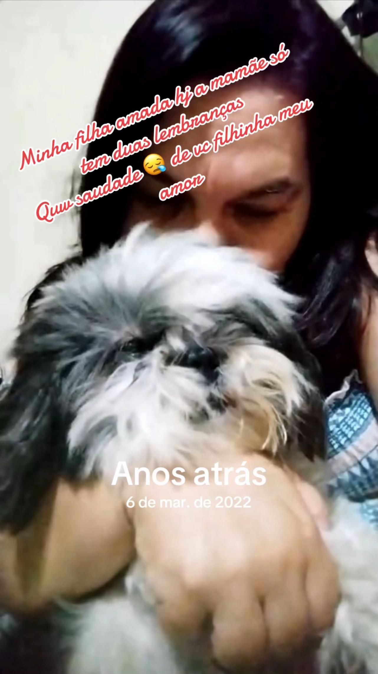 @brisapoesias