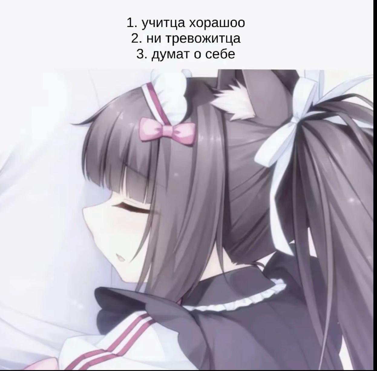 @Кефирная свинина catgirl ꧂