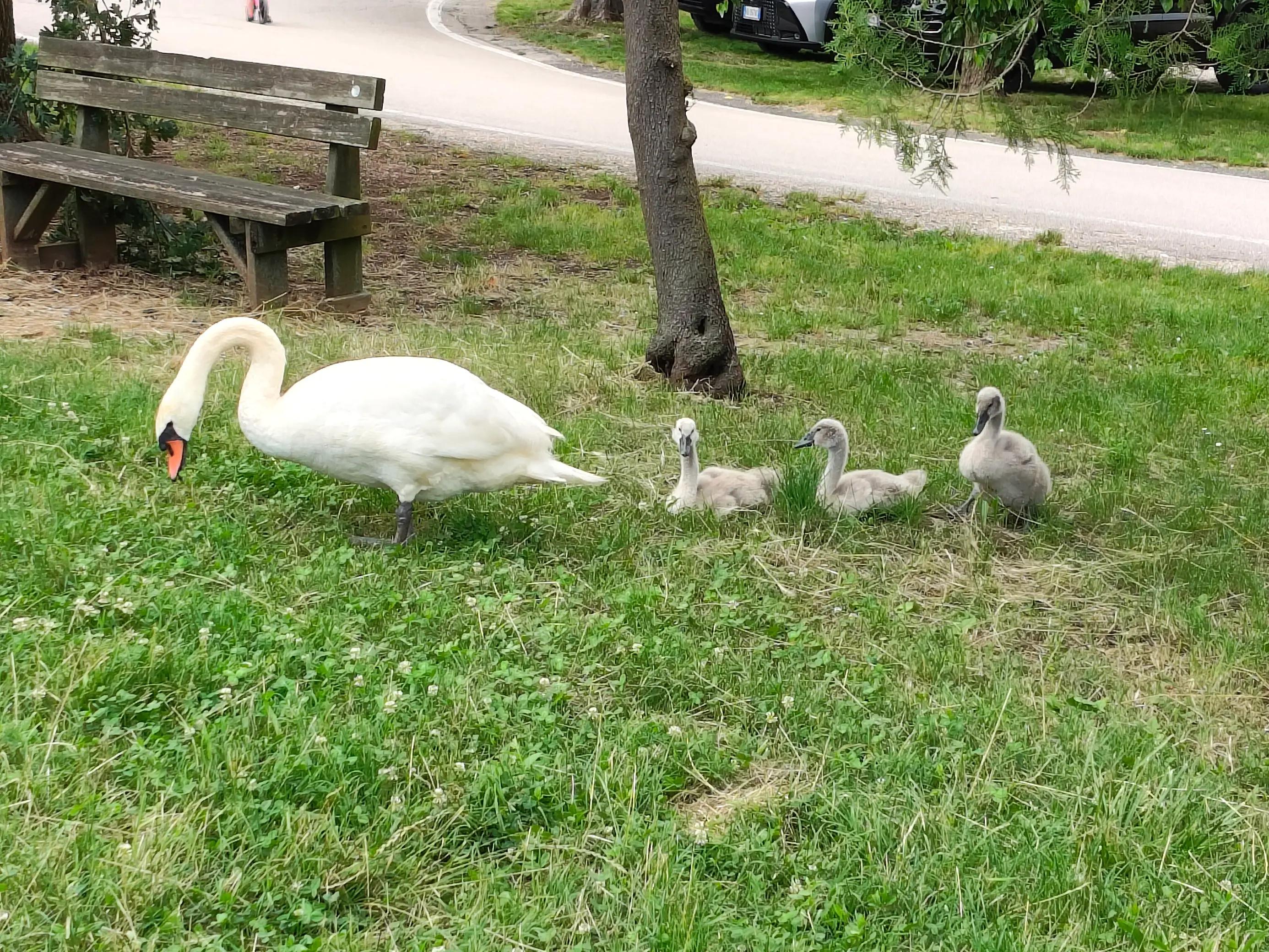 @emanueleruffo