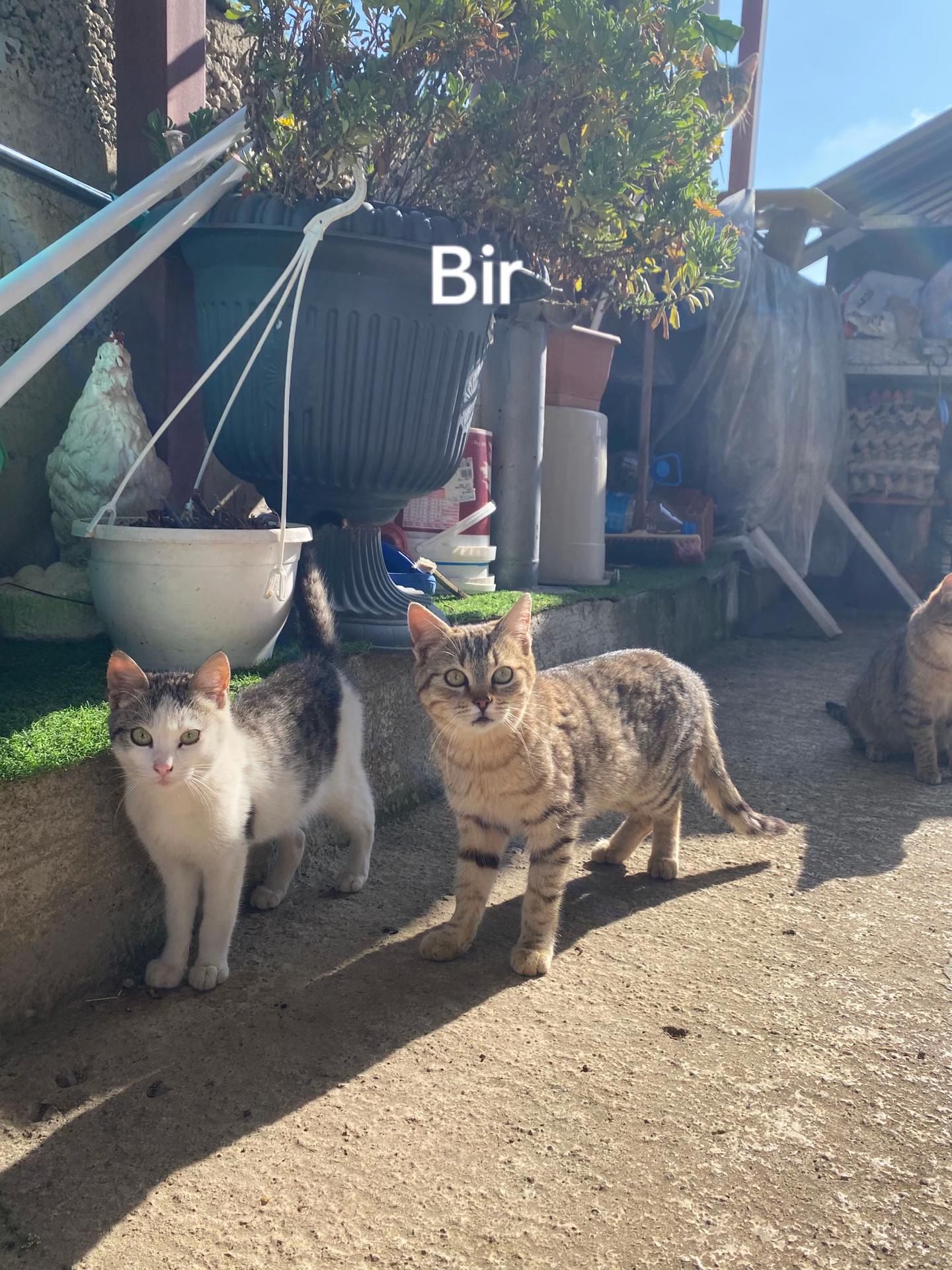 @Yağmuşş🤪🤪😝