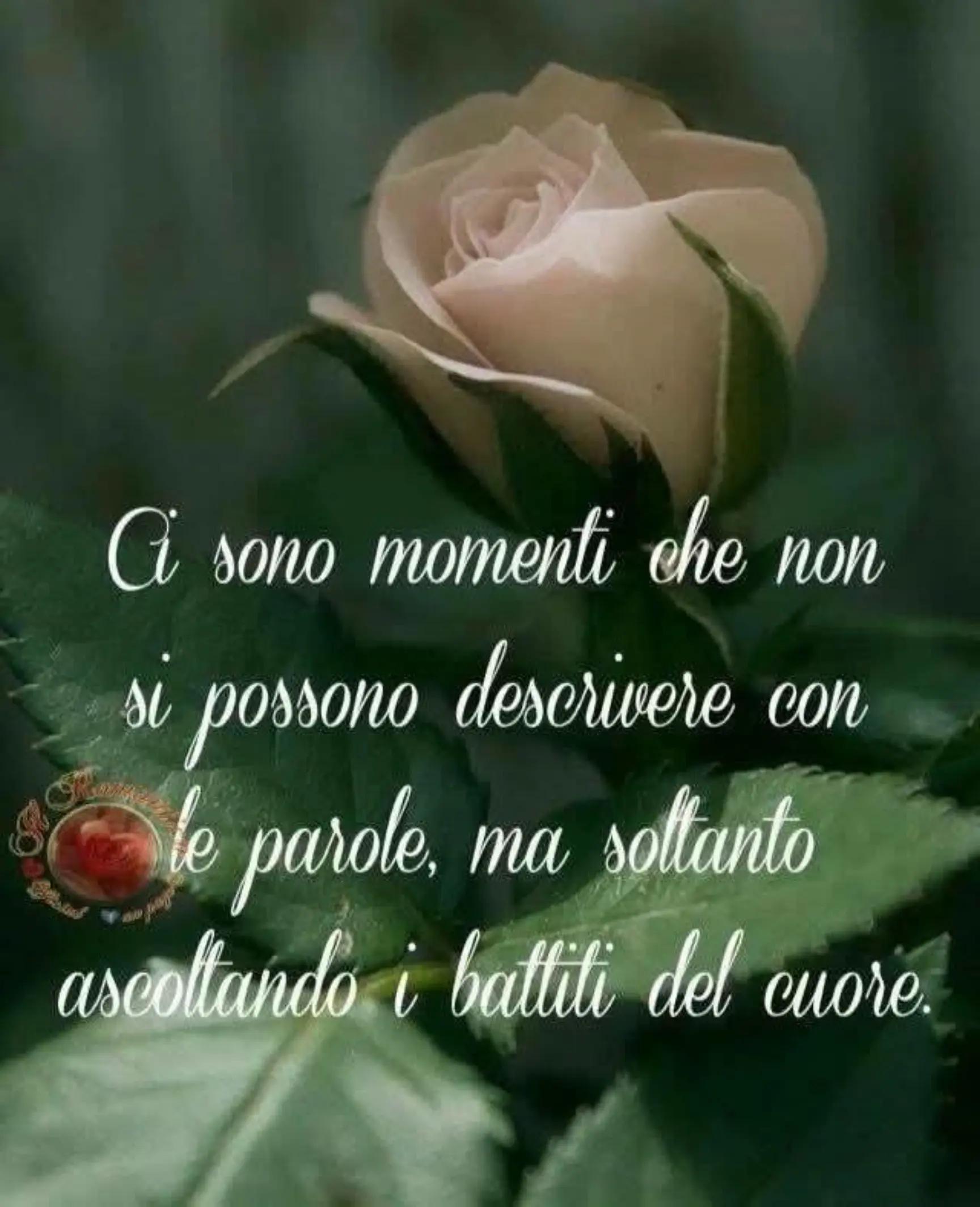 @💜 SERE73💜🕯️The ReV🕯️