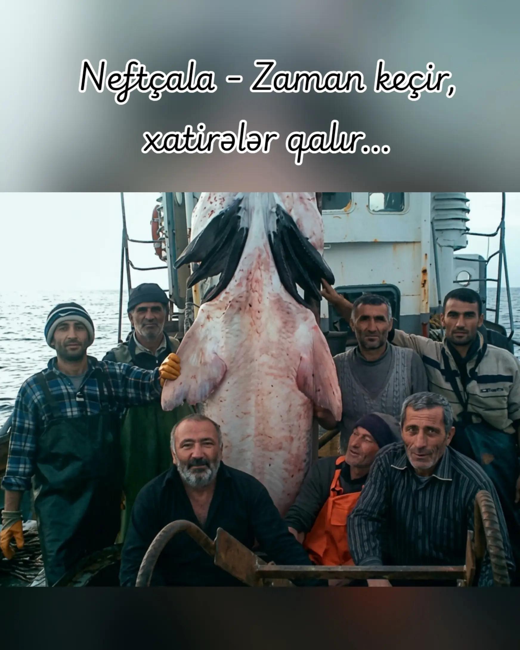 @Bizim_Neft&ccedil;ala