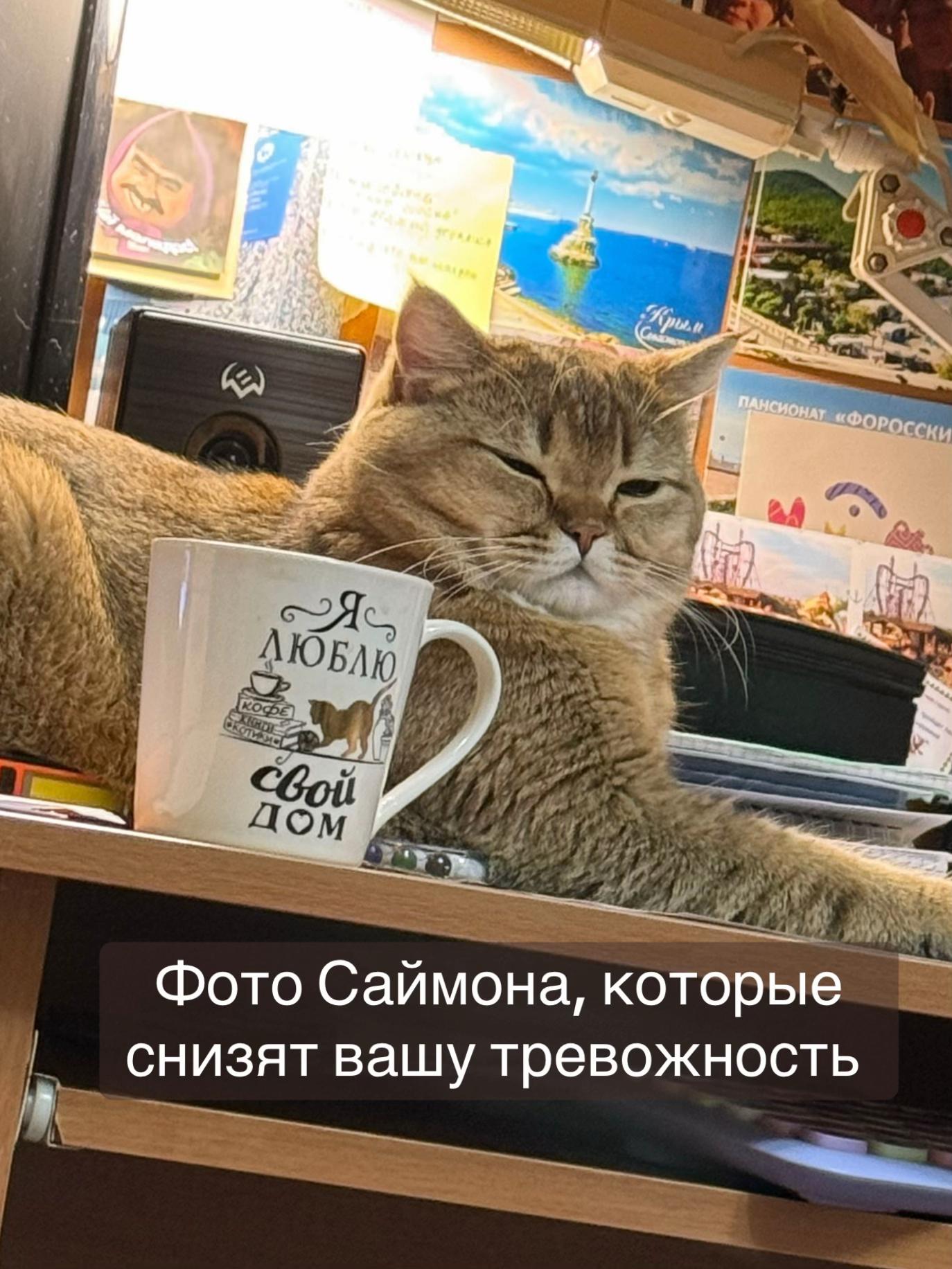 @Птица🔥