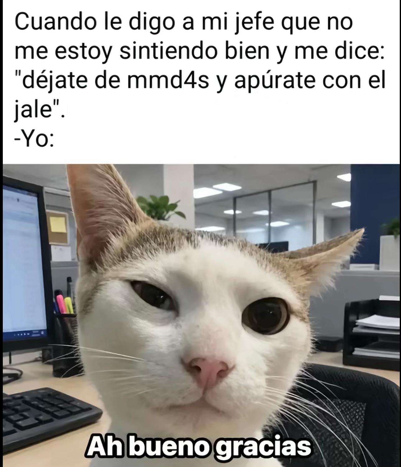 @RGLovera