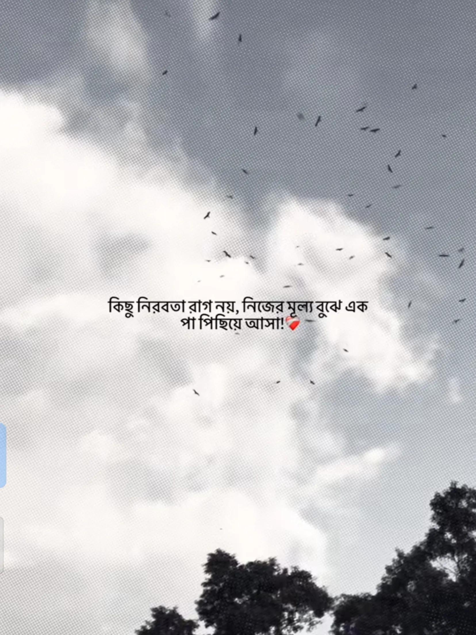@💫ᴀꜱʜɪᴋ... 🕊️🎧
