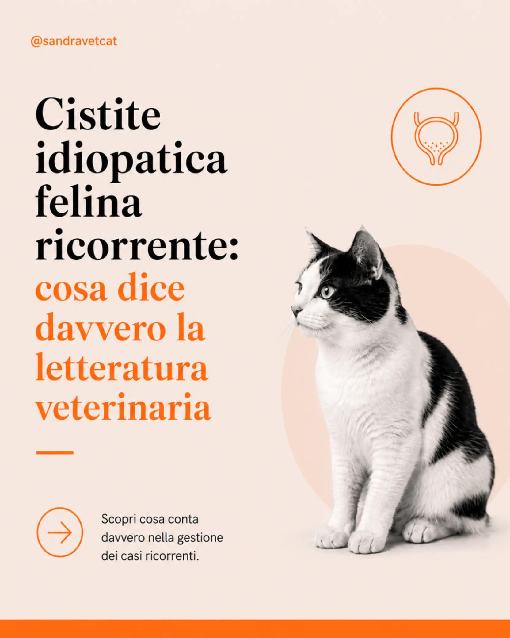 @Dr.ssa Sandra Viana