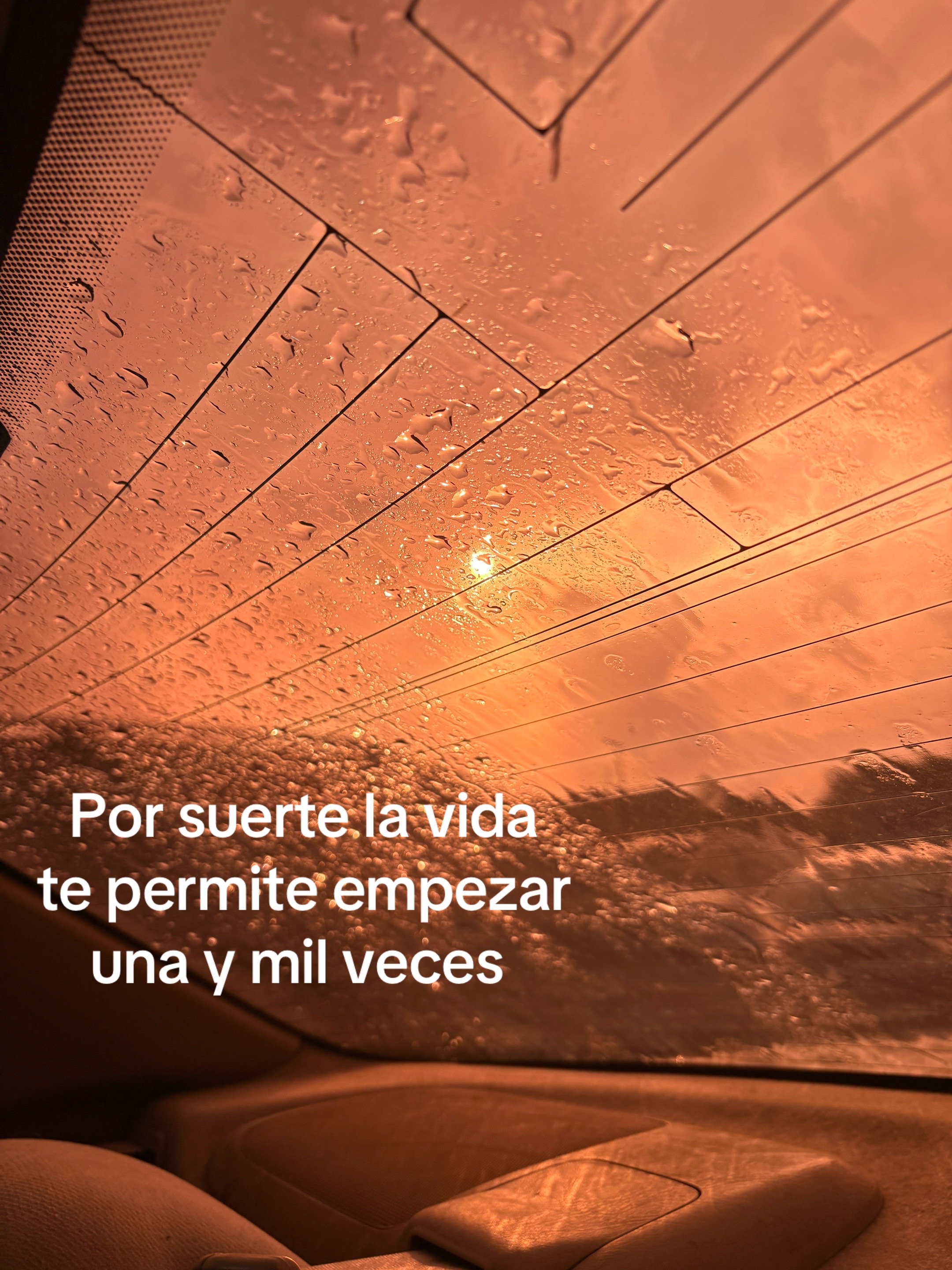 @veronicaquinterog5