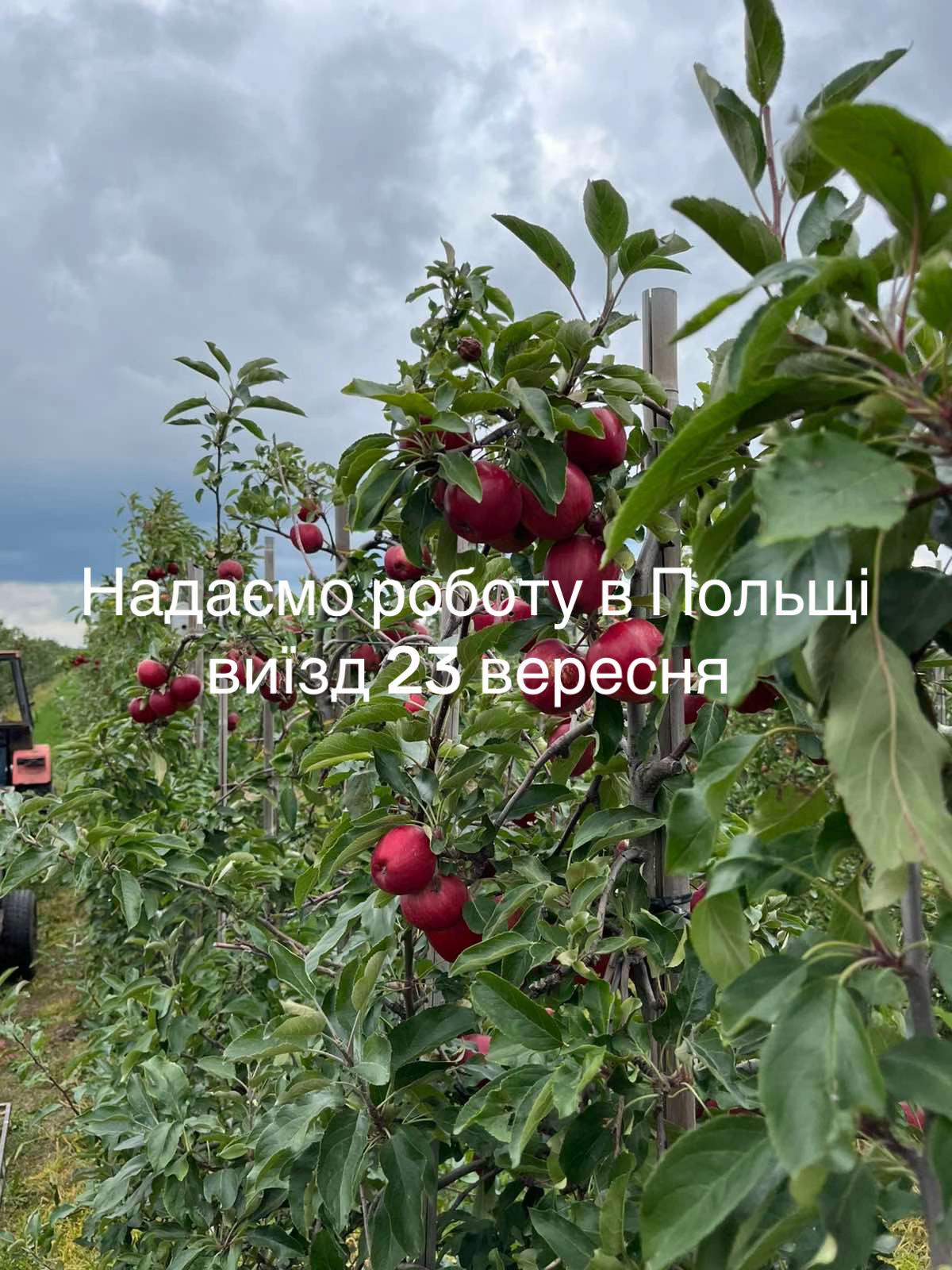@Світлана