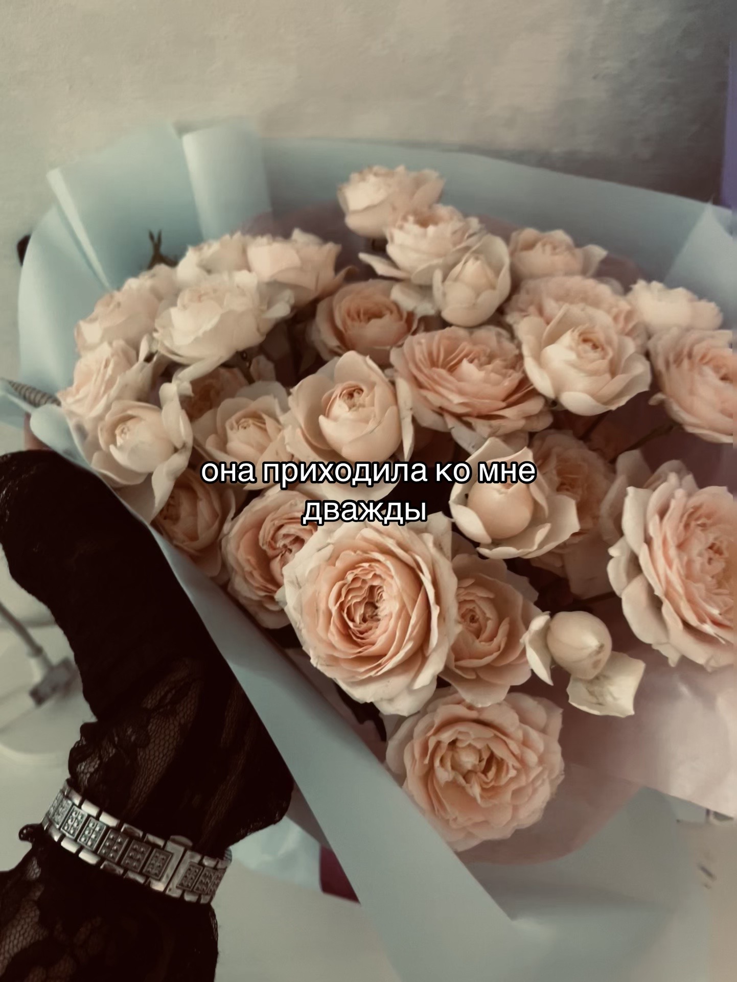 @xilen