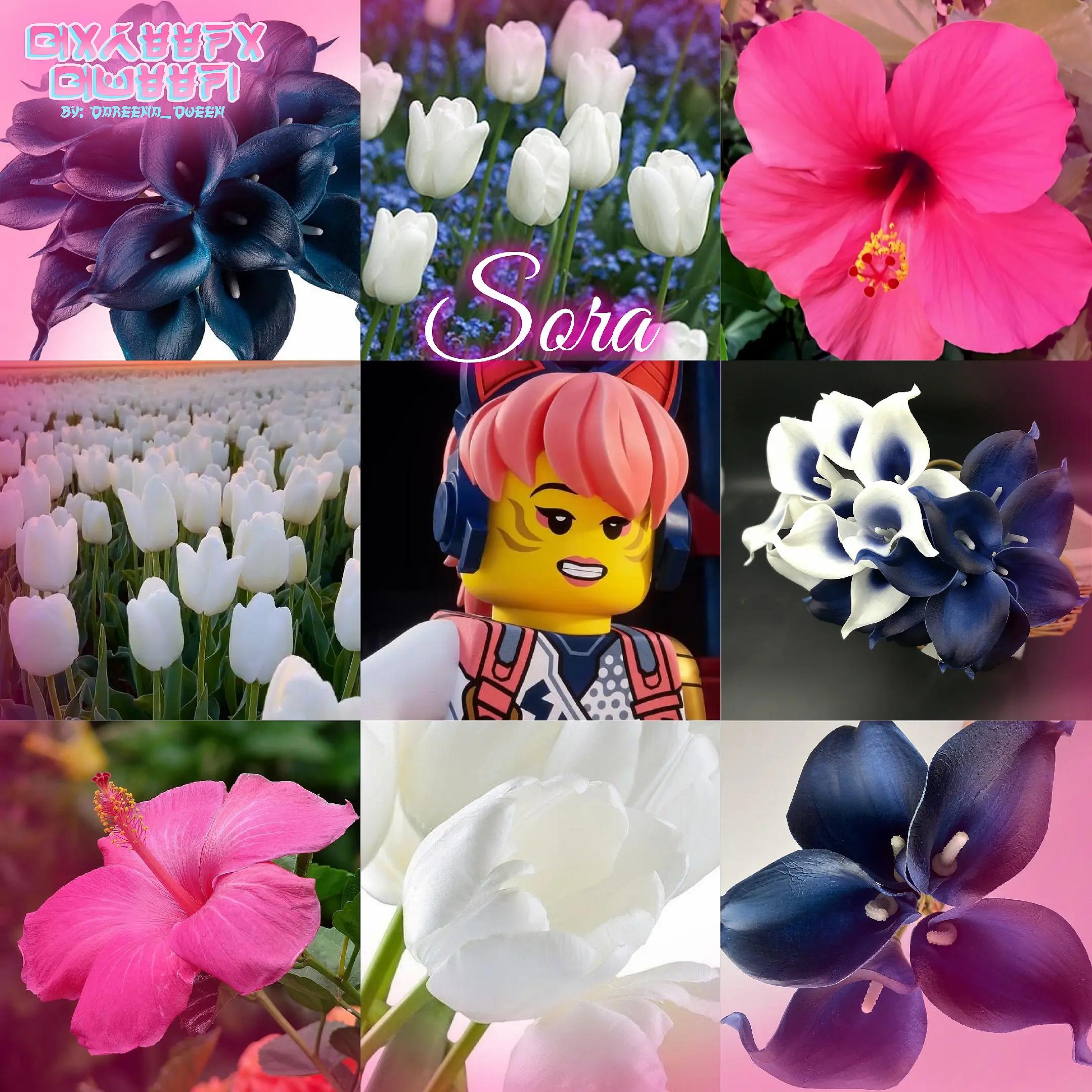 @ʚ🌸QUESNELIA!!🩷