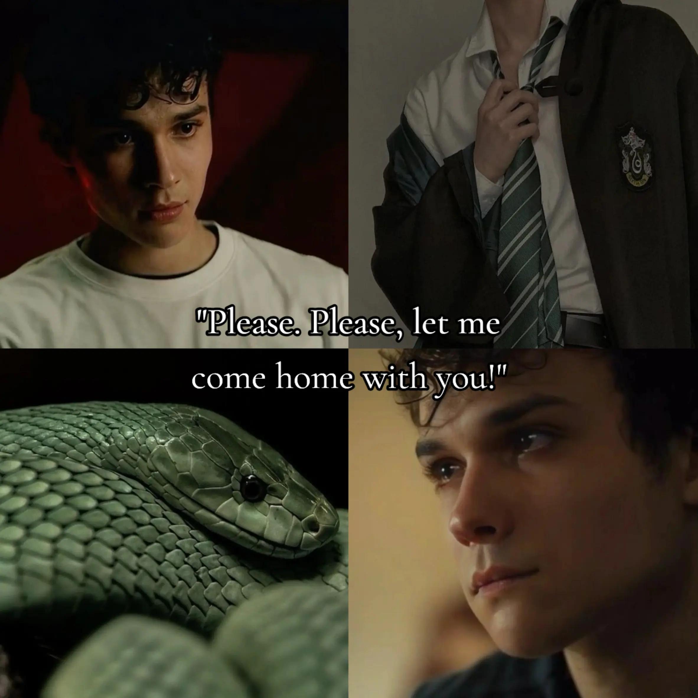 @Serpents_Tongue โฏ อ