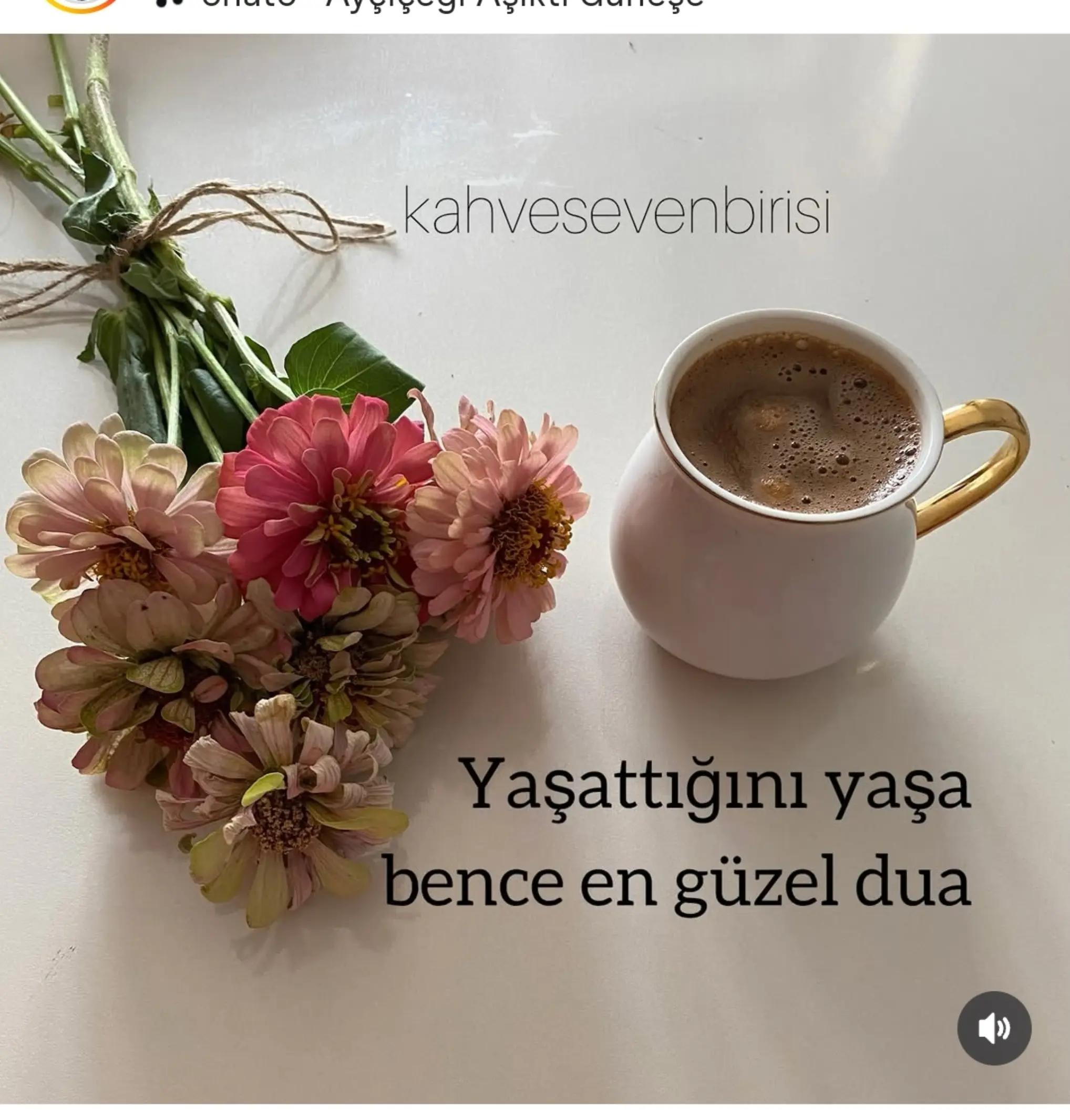 @köylü kizi🌹melosunelisleri