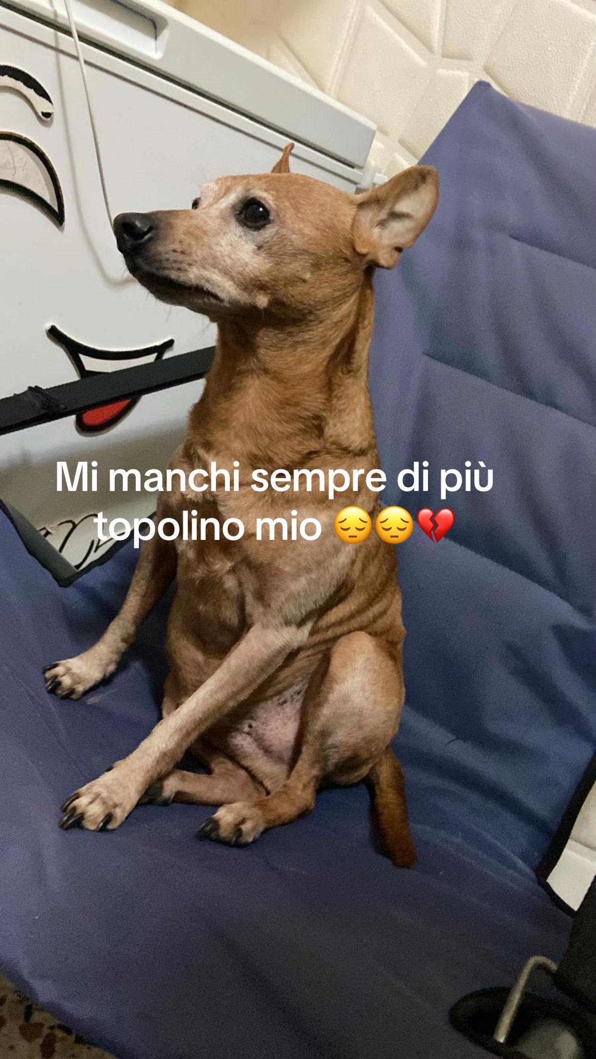 @il_demarco