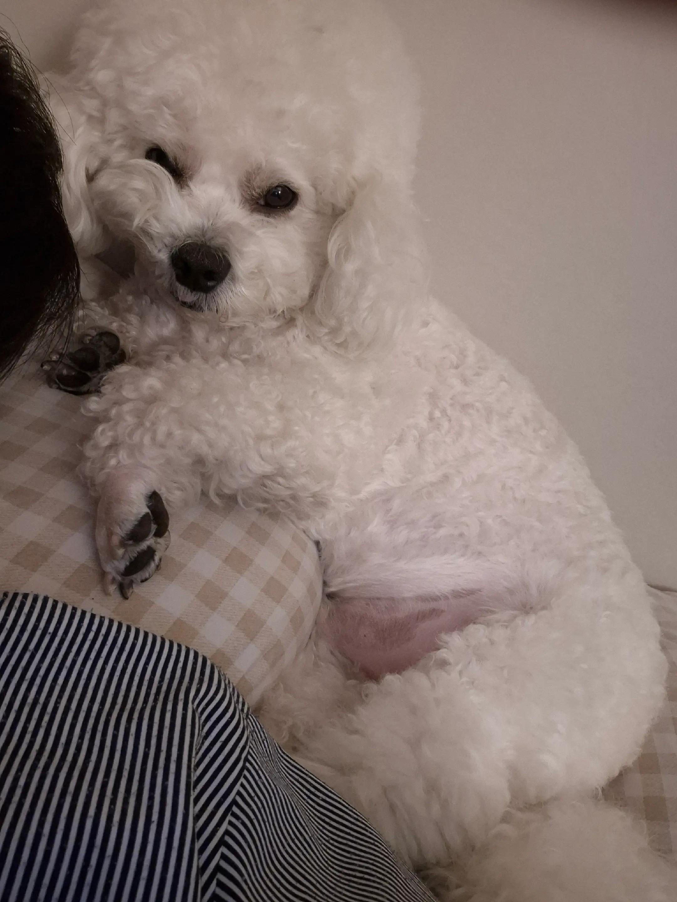 @식빵