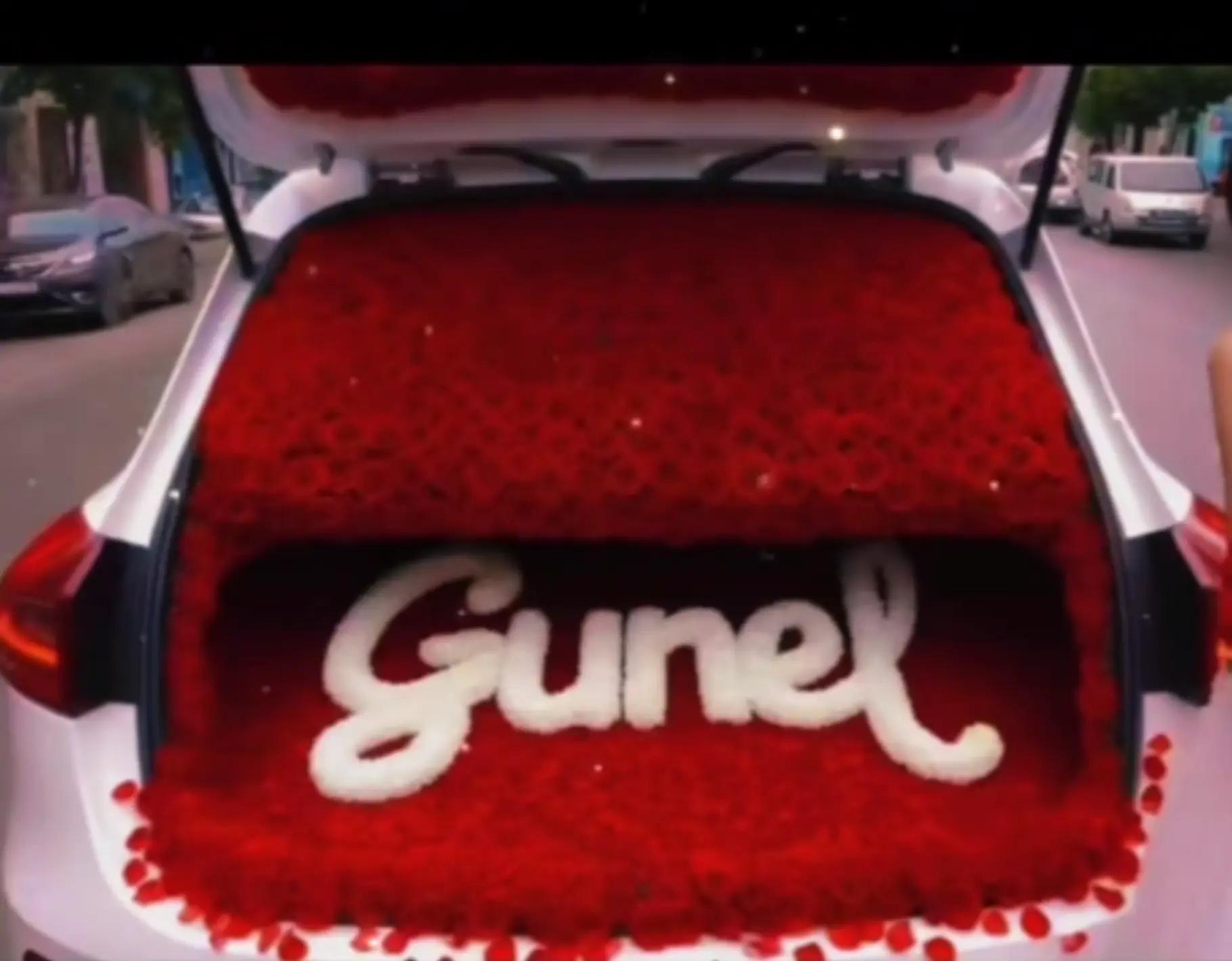@Gunel Qurbanova
