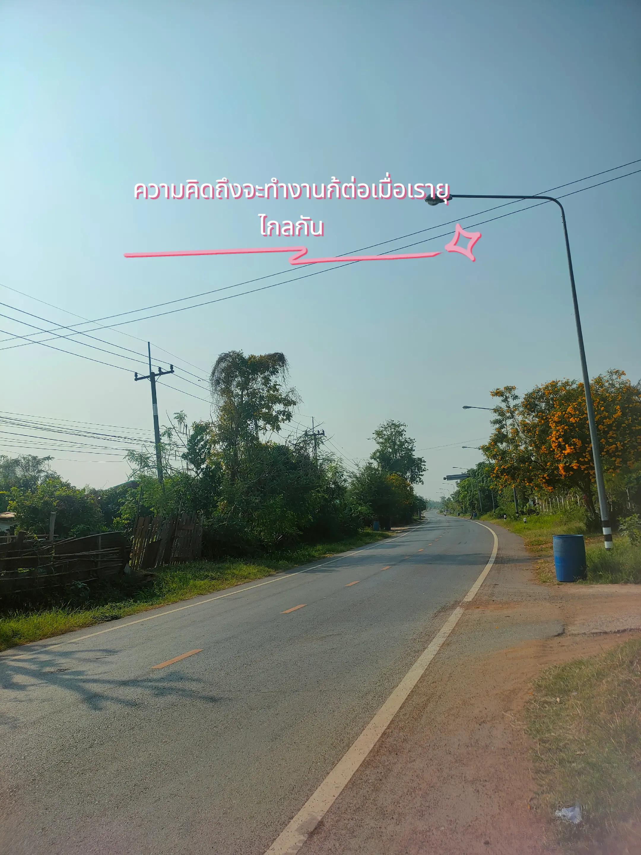 @ใบเตย