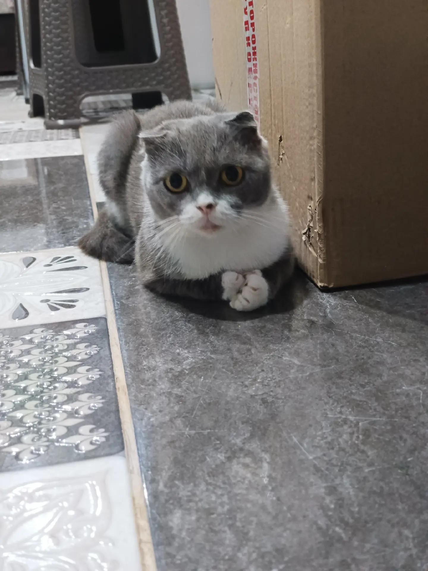 @Нюточка