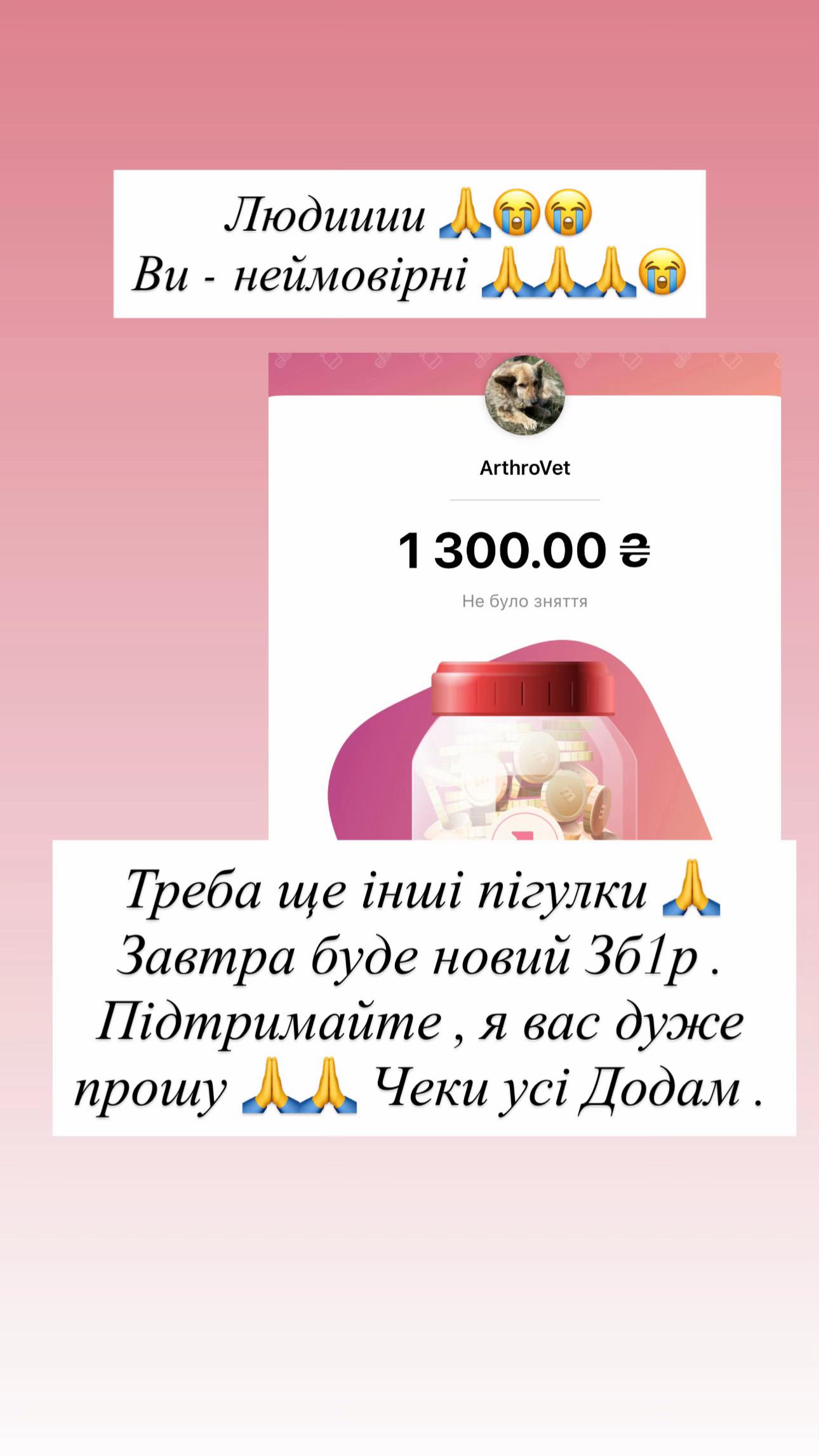 @tanya.help.animal