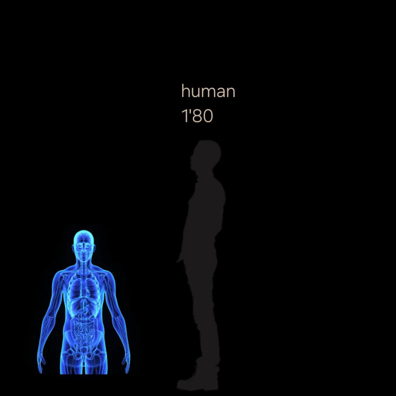 @Giovanni