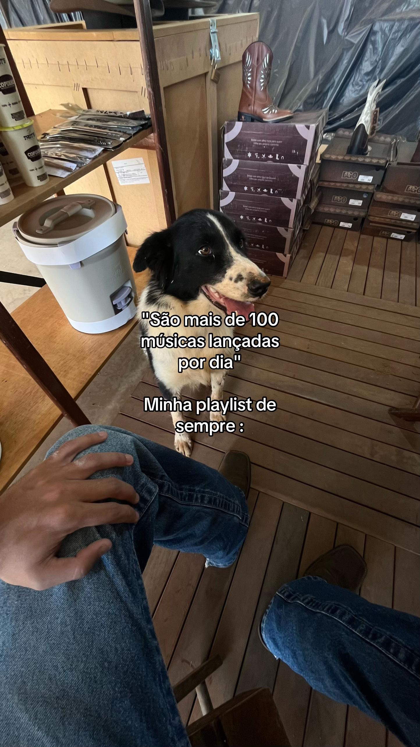 @_Mazetto
