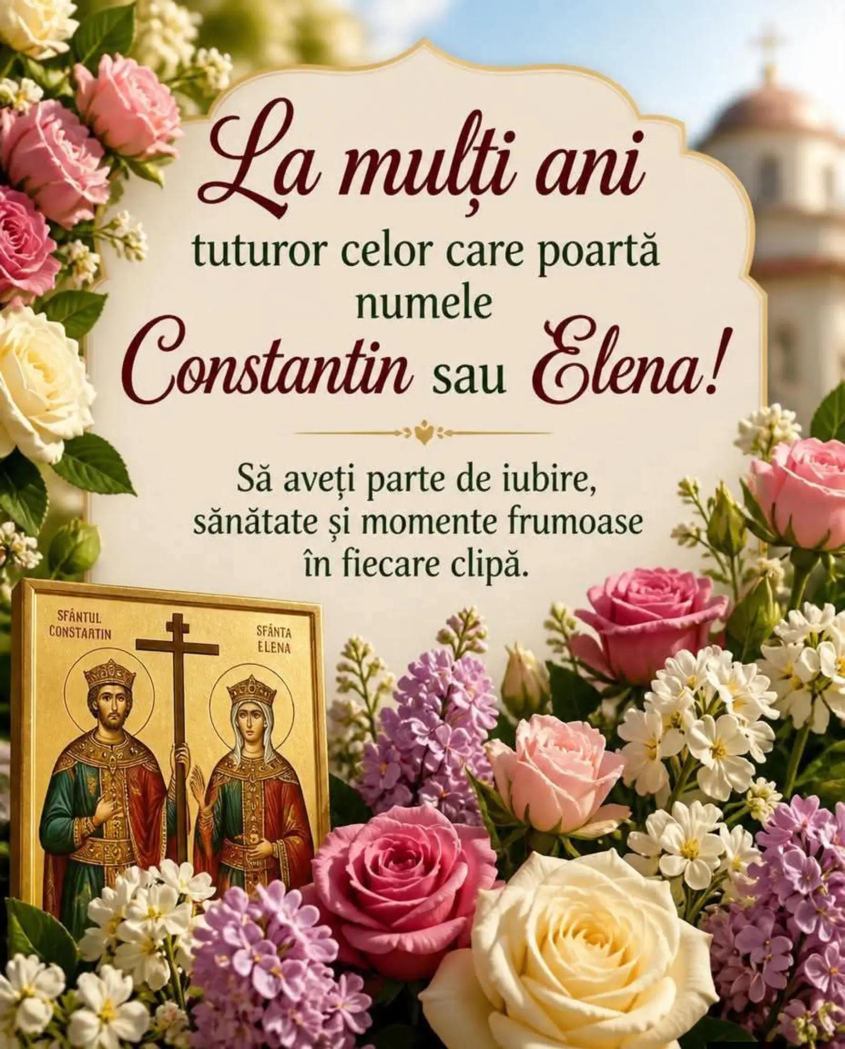 @mihaelaungureanu651
