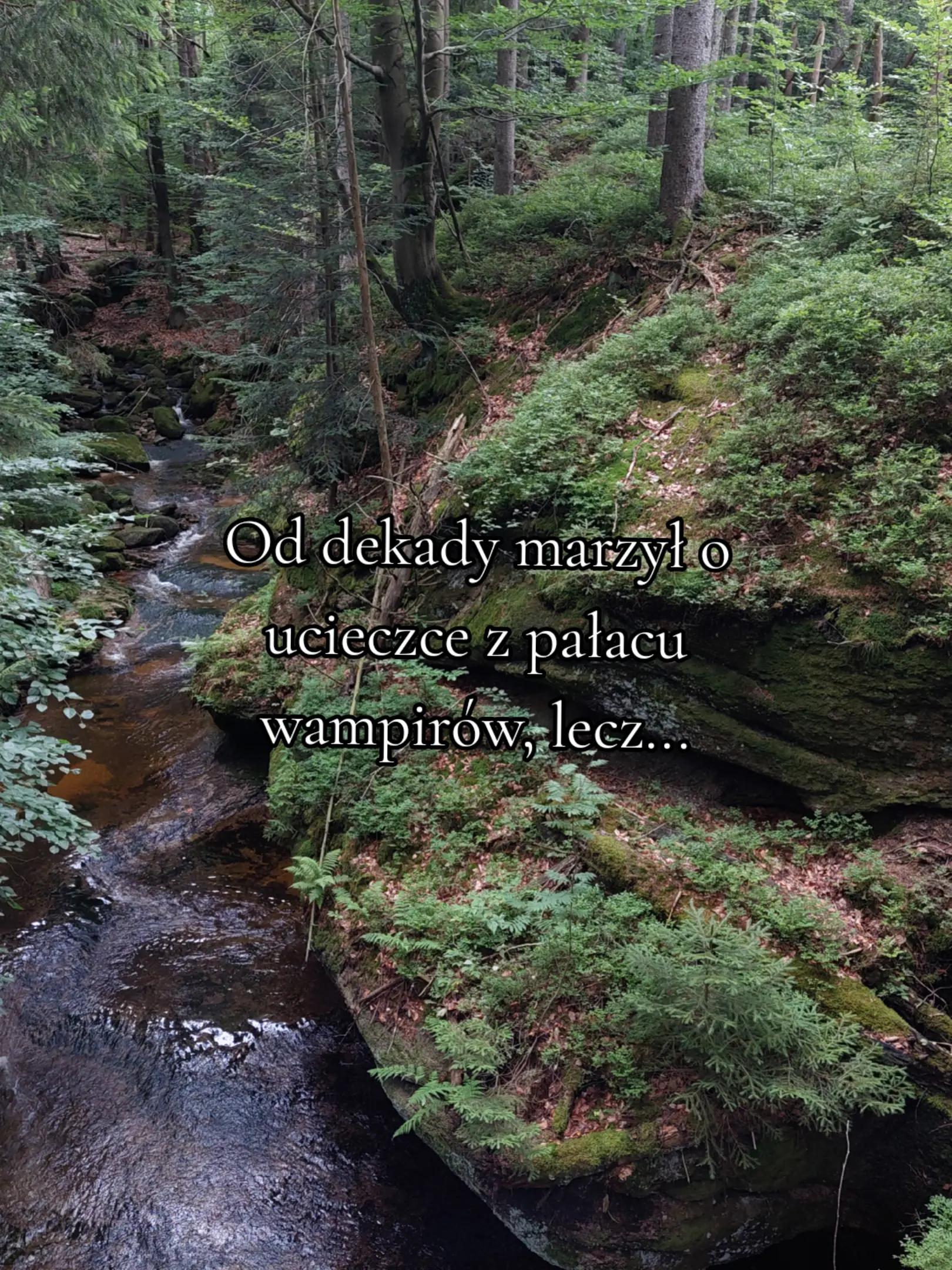 @pansz0p