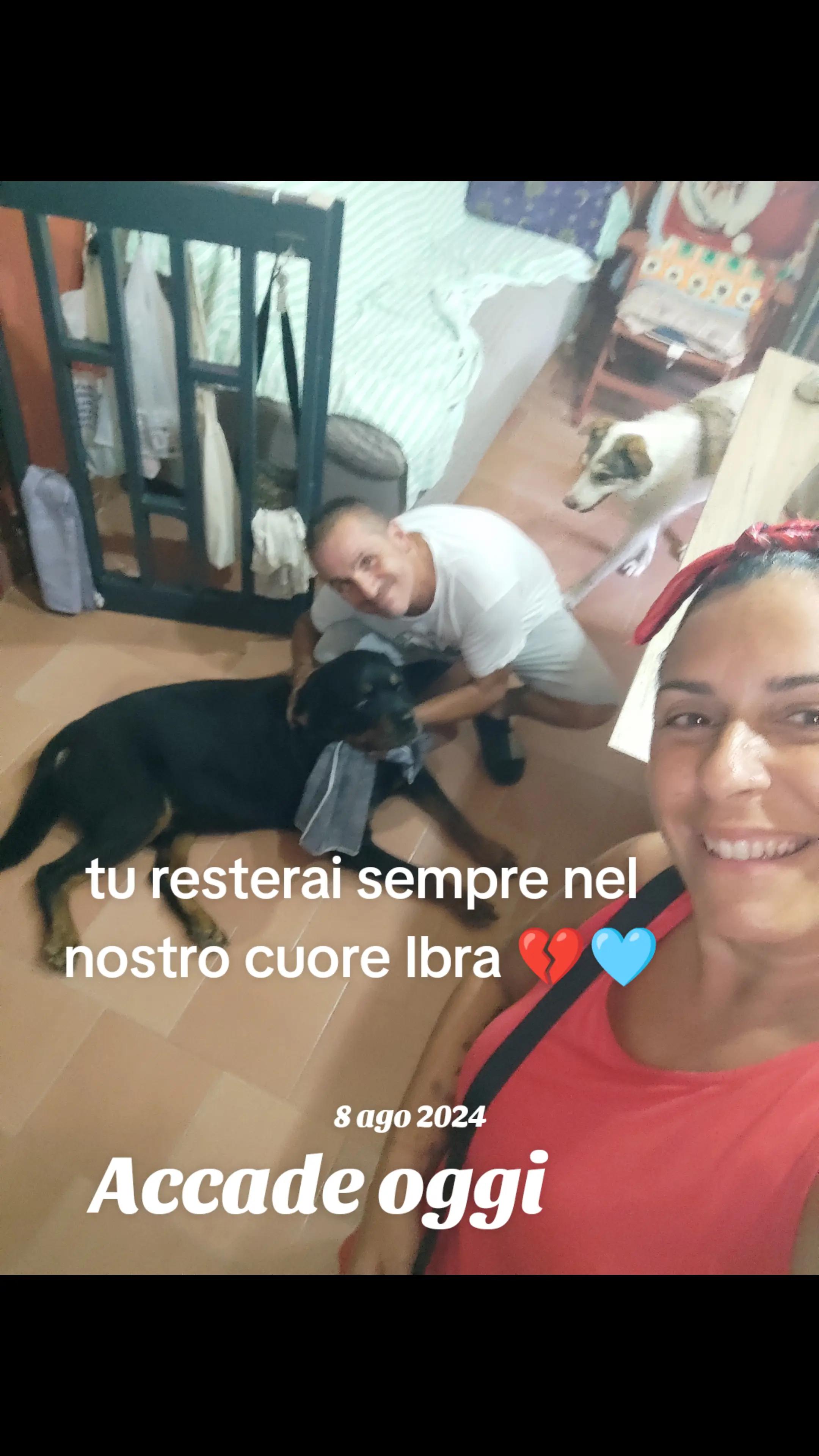 @la famiglia con i cani 🐾🥰