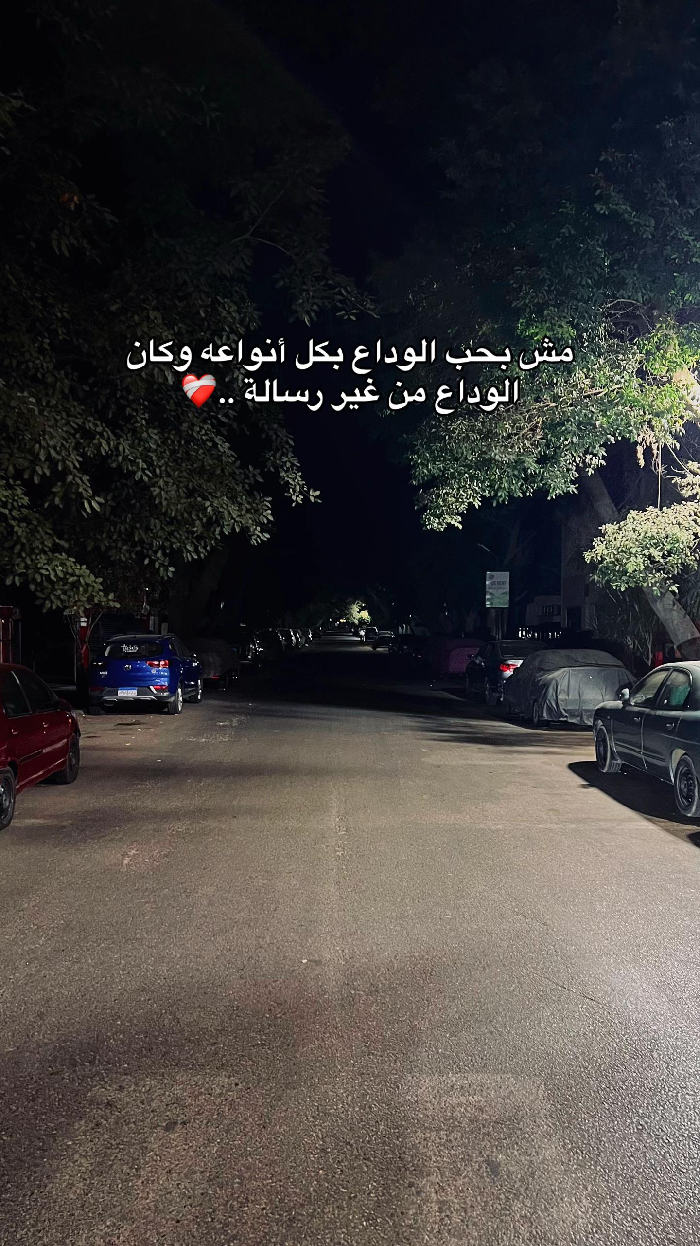 @Mahmoud Saleh