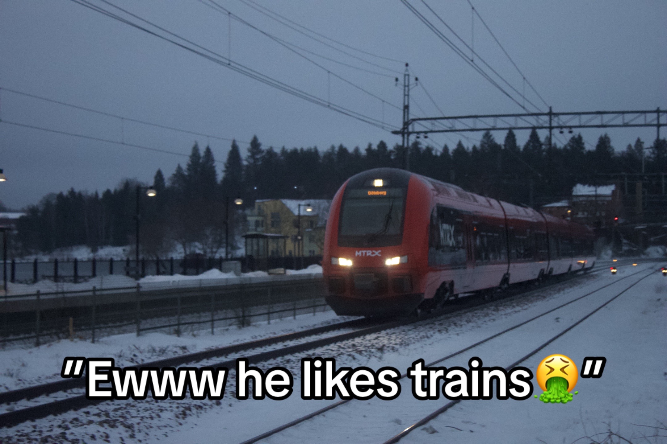 @đžThe Swedish Trainspotterđž