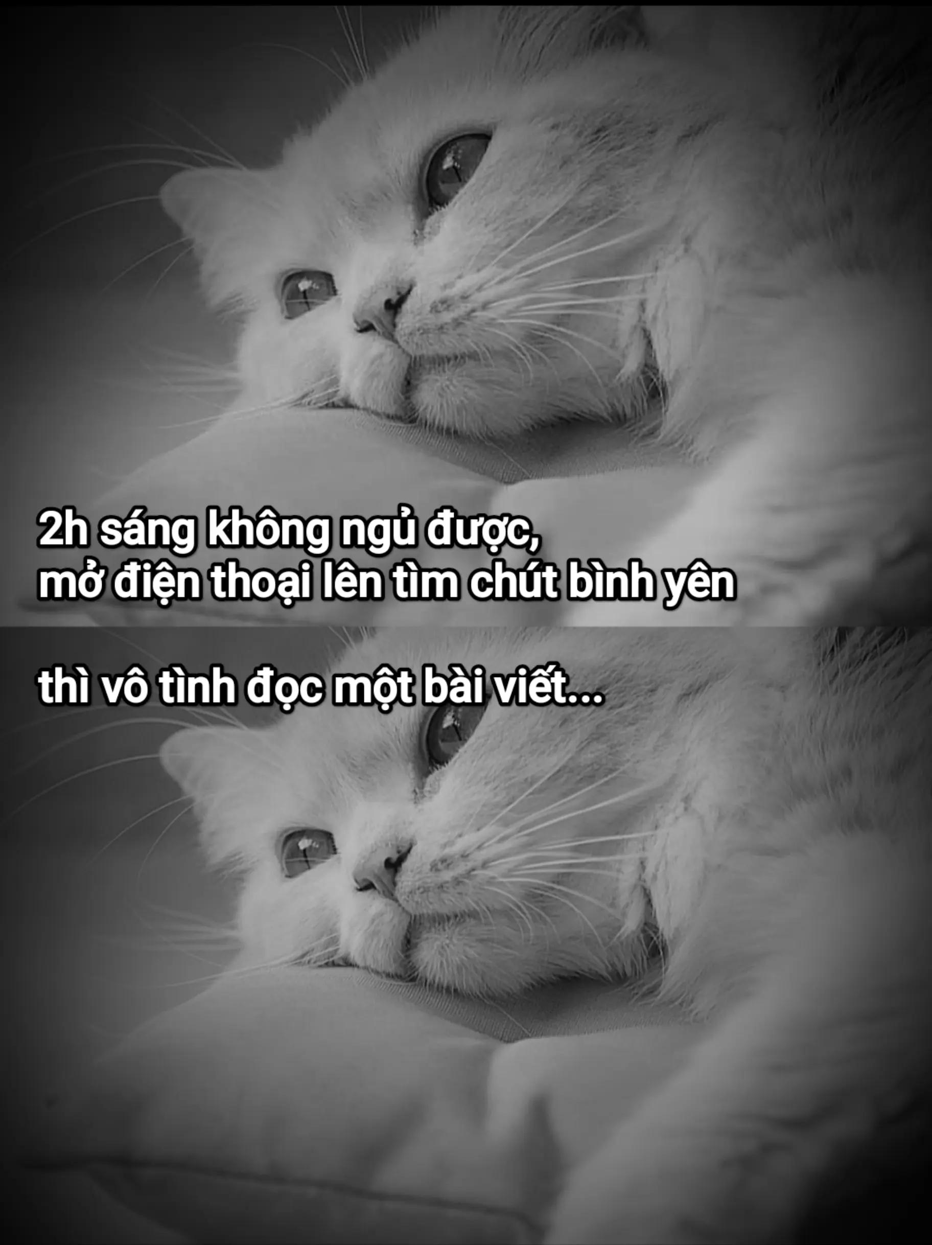 @long nguyễn😊