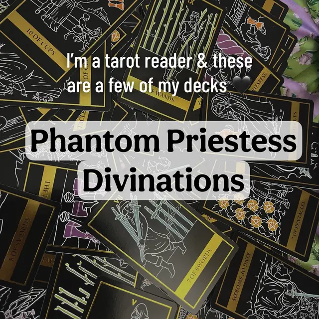 @phantom priestess 🐦⬛