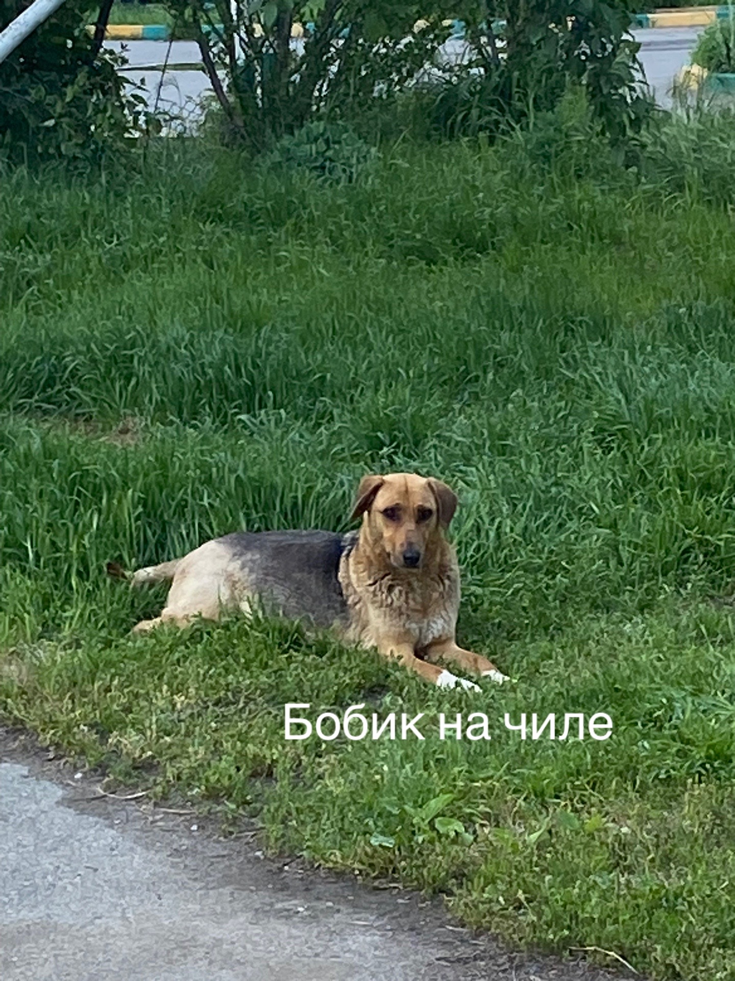 @Sssgg