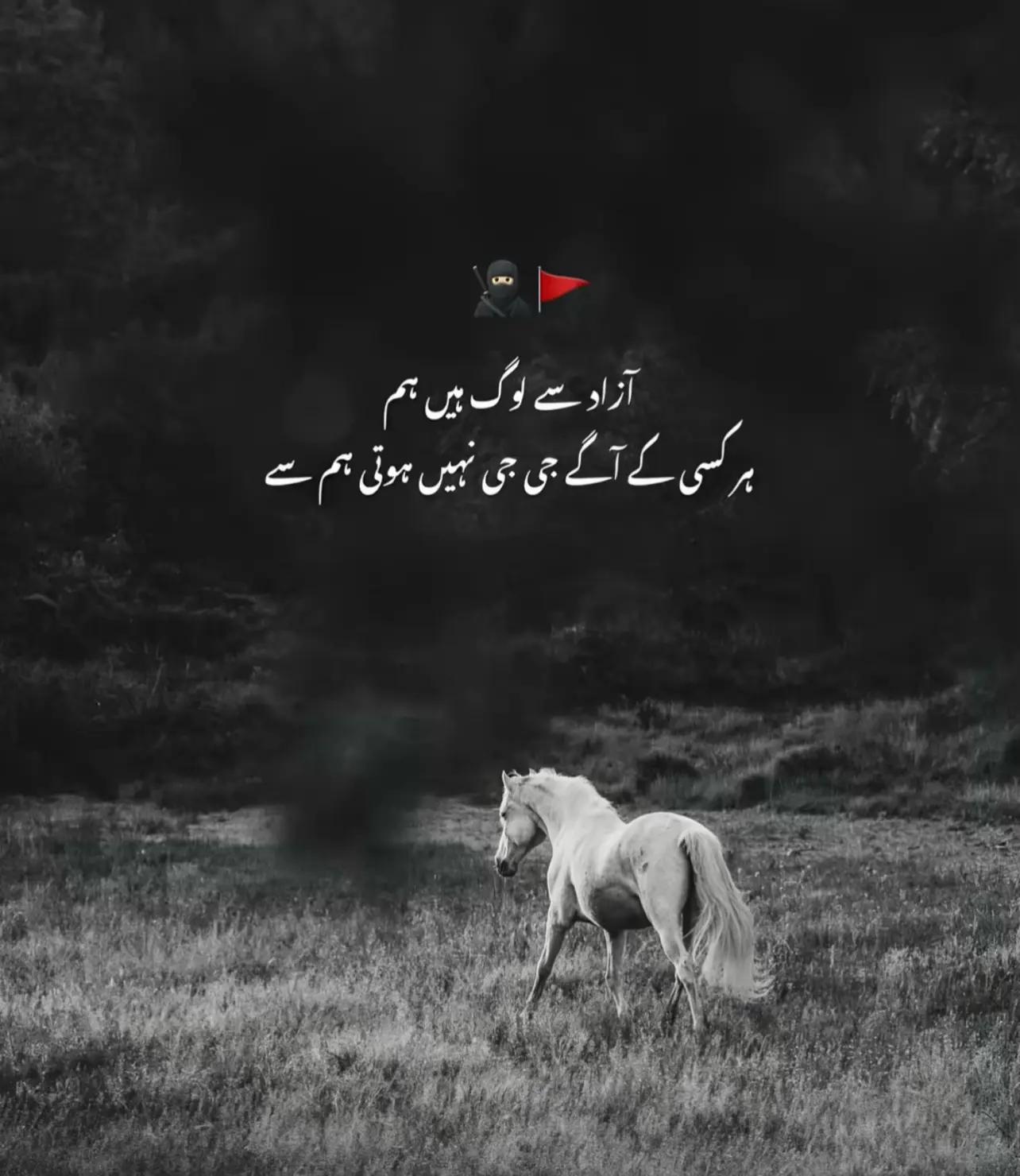 @imran72