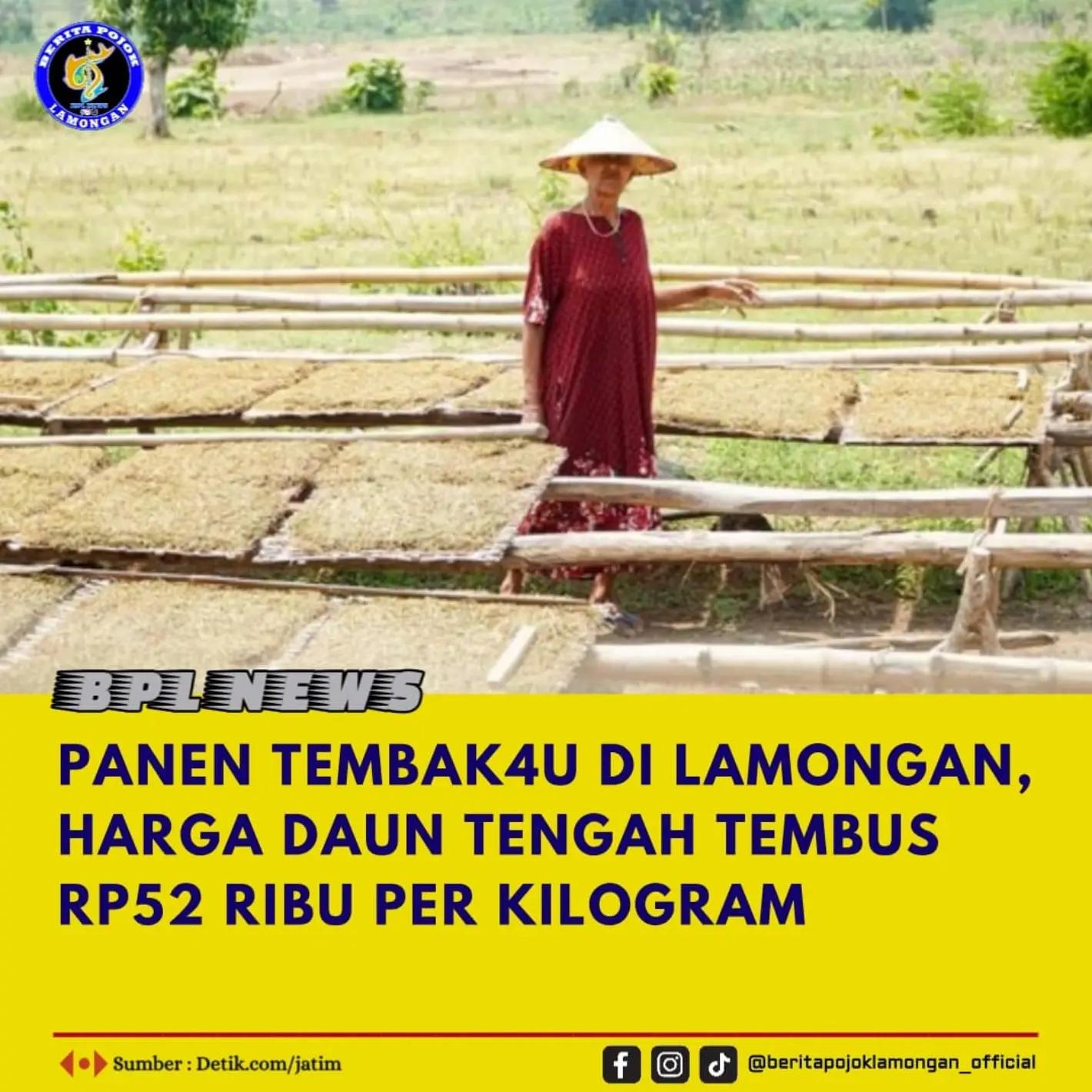 @BERITA POJOK LAMONGAN
