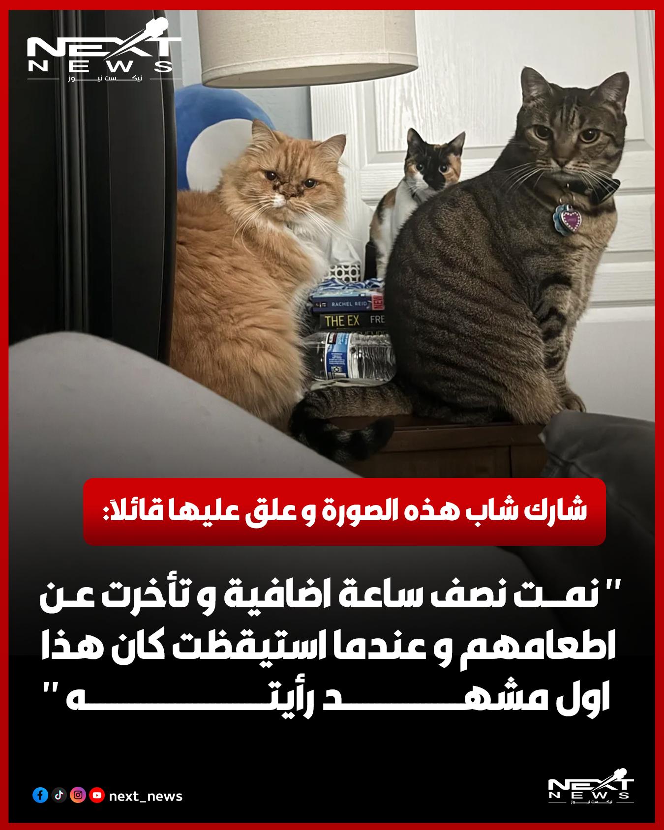 @nextnews