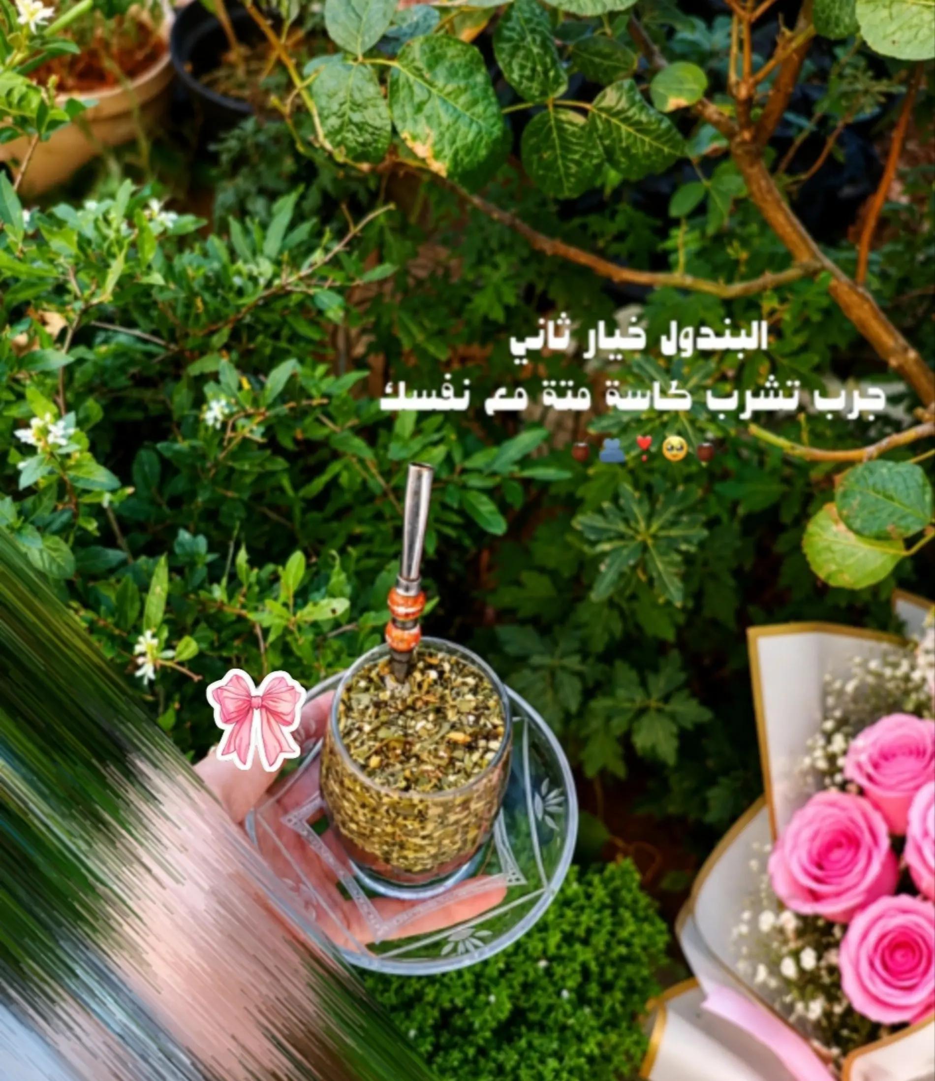 @𓆩𝑹𝑶𝑹𝑶𓆪ࢪﯡࢪﯡ🎀