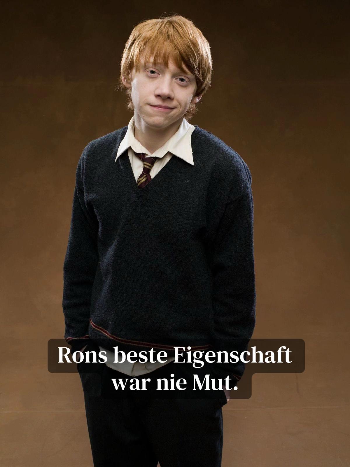 @Muggelgefl&uuml;ster