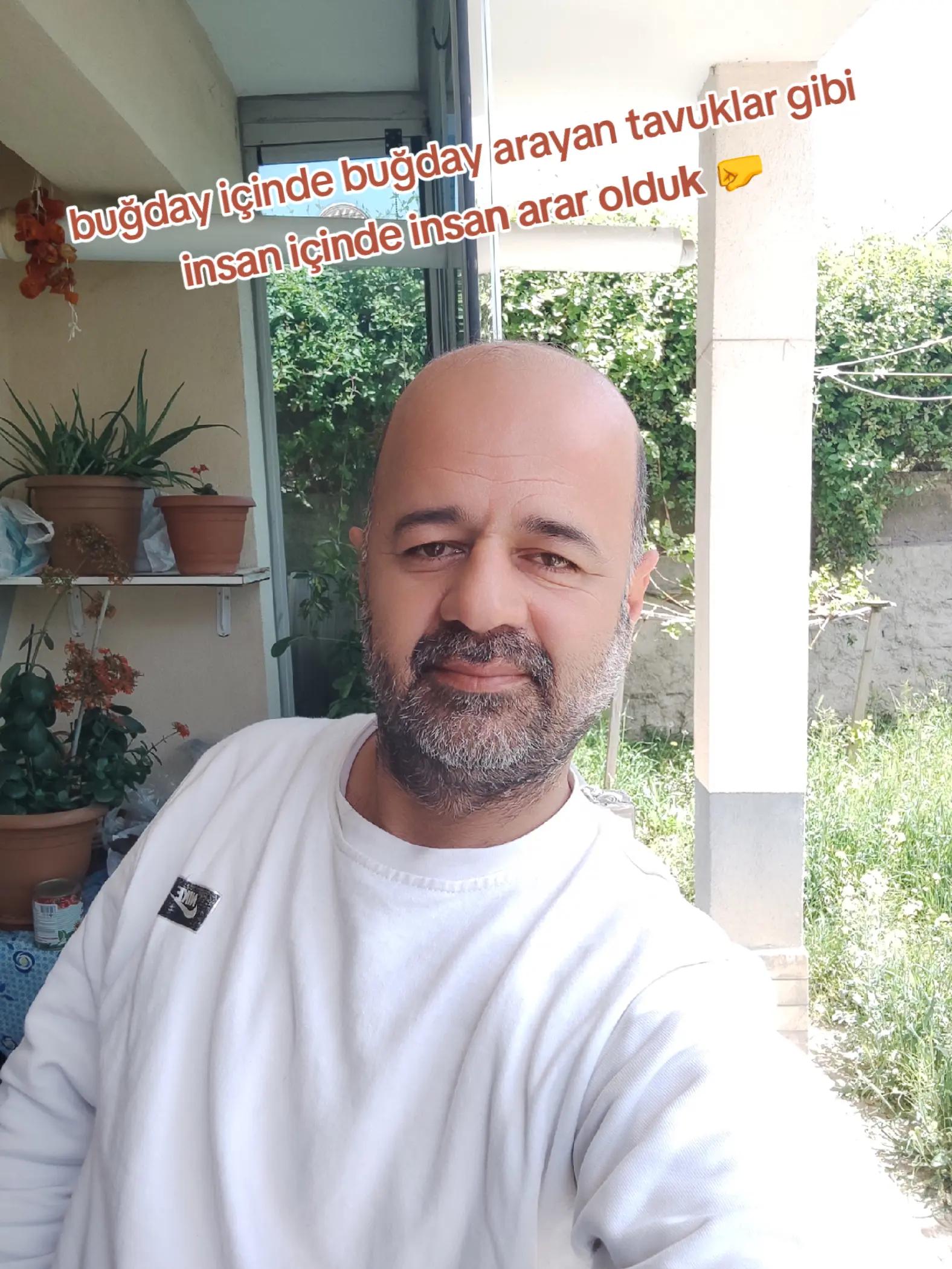 @уαѕιη вυℓυт ®