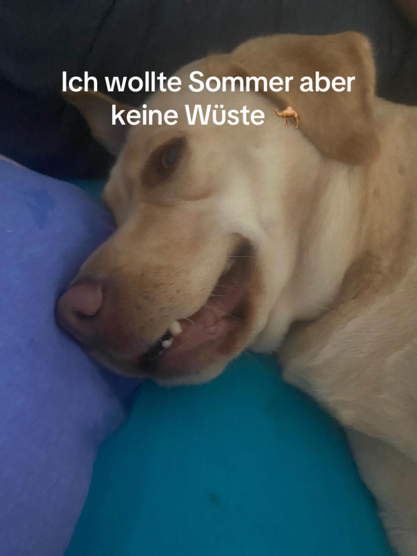 @Maja 🇩🇪💫