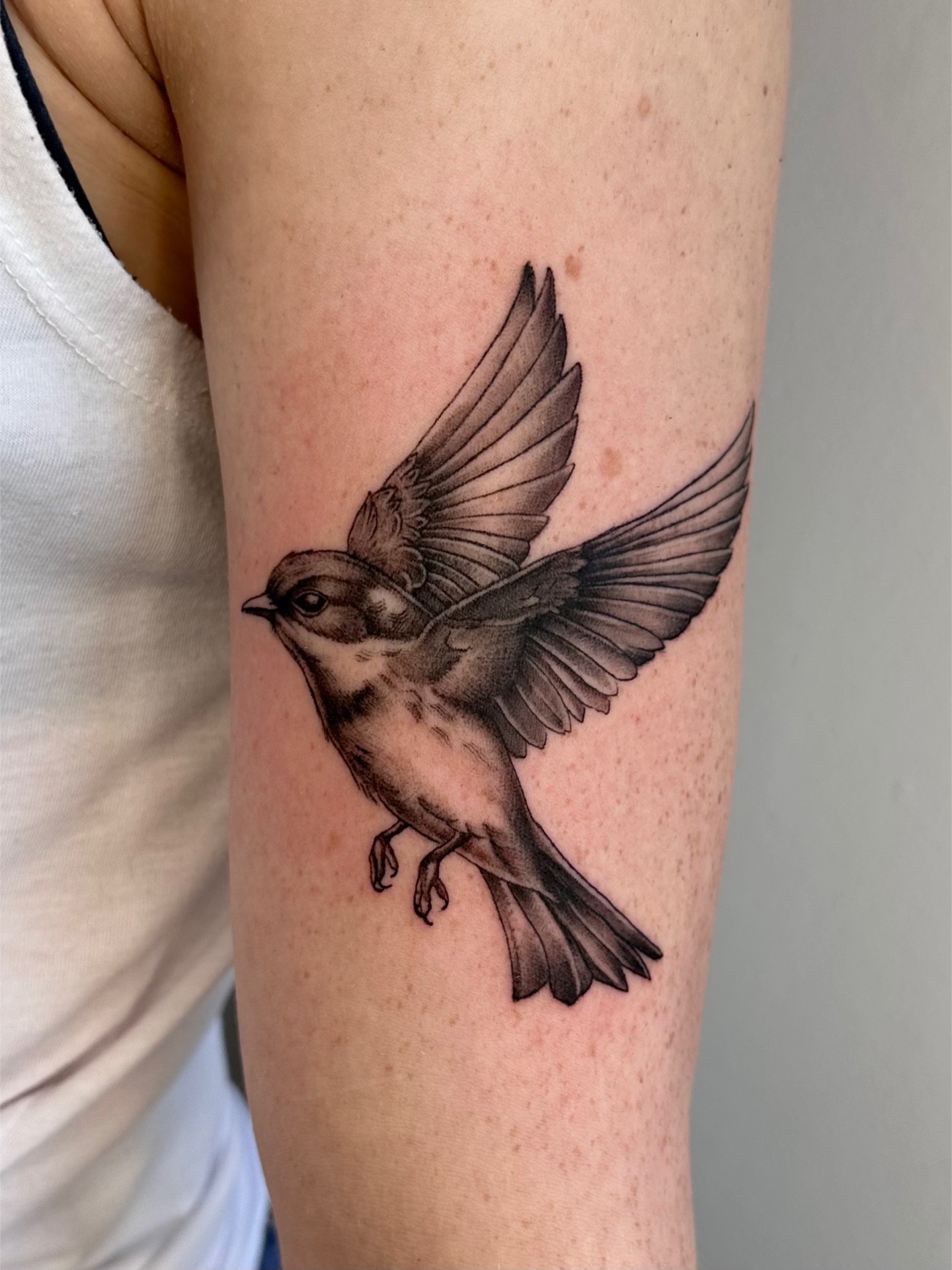 @mannschrecktattoos