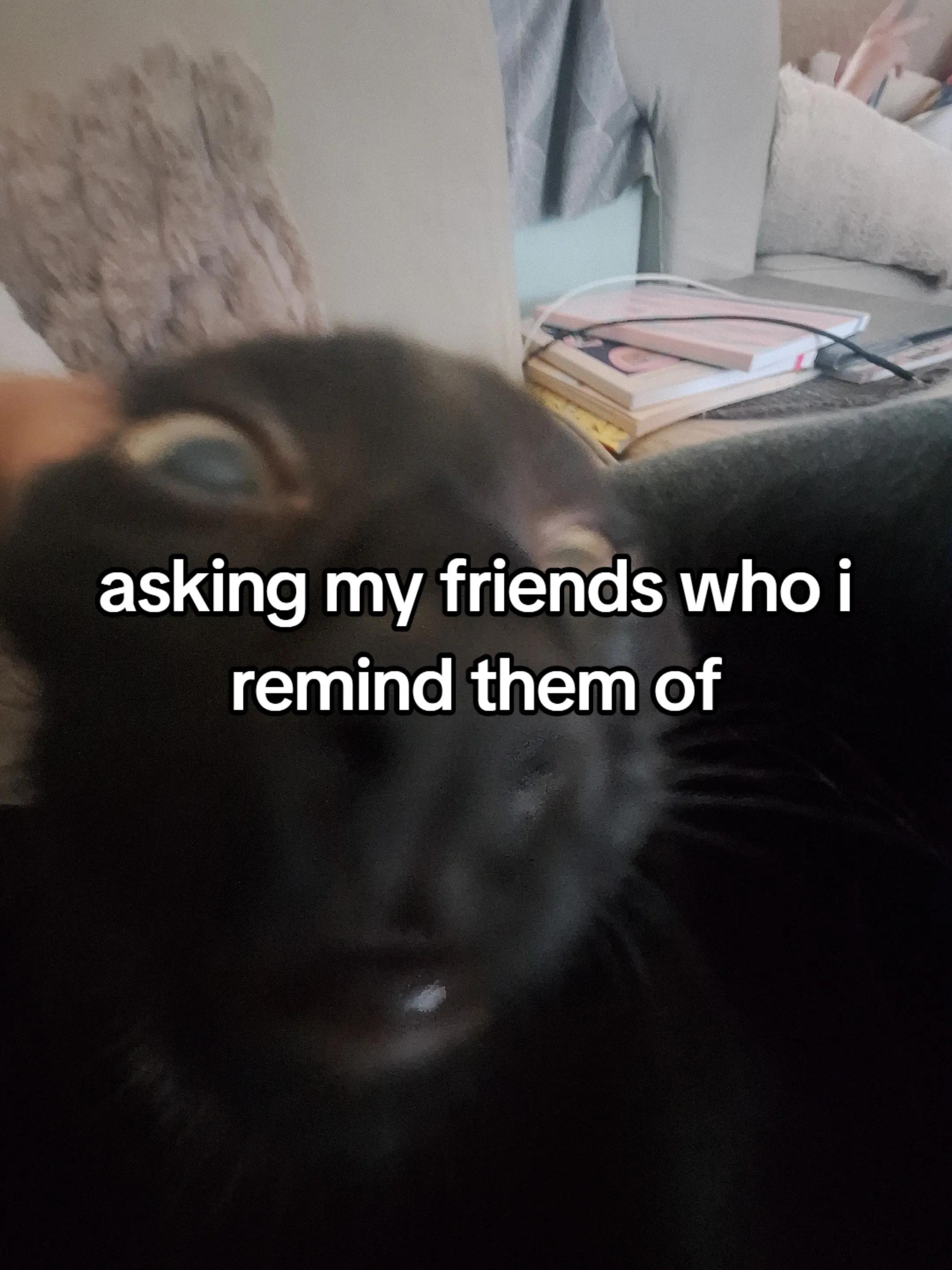 @vinn