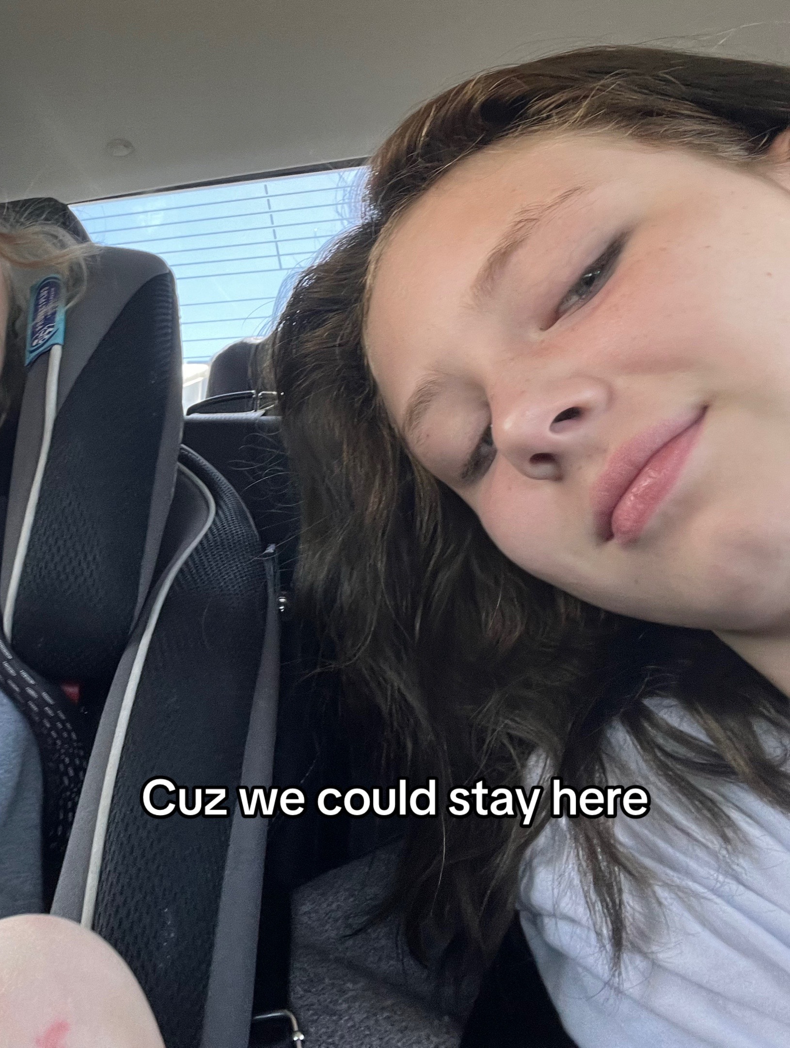 @🦨car