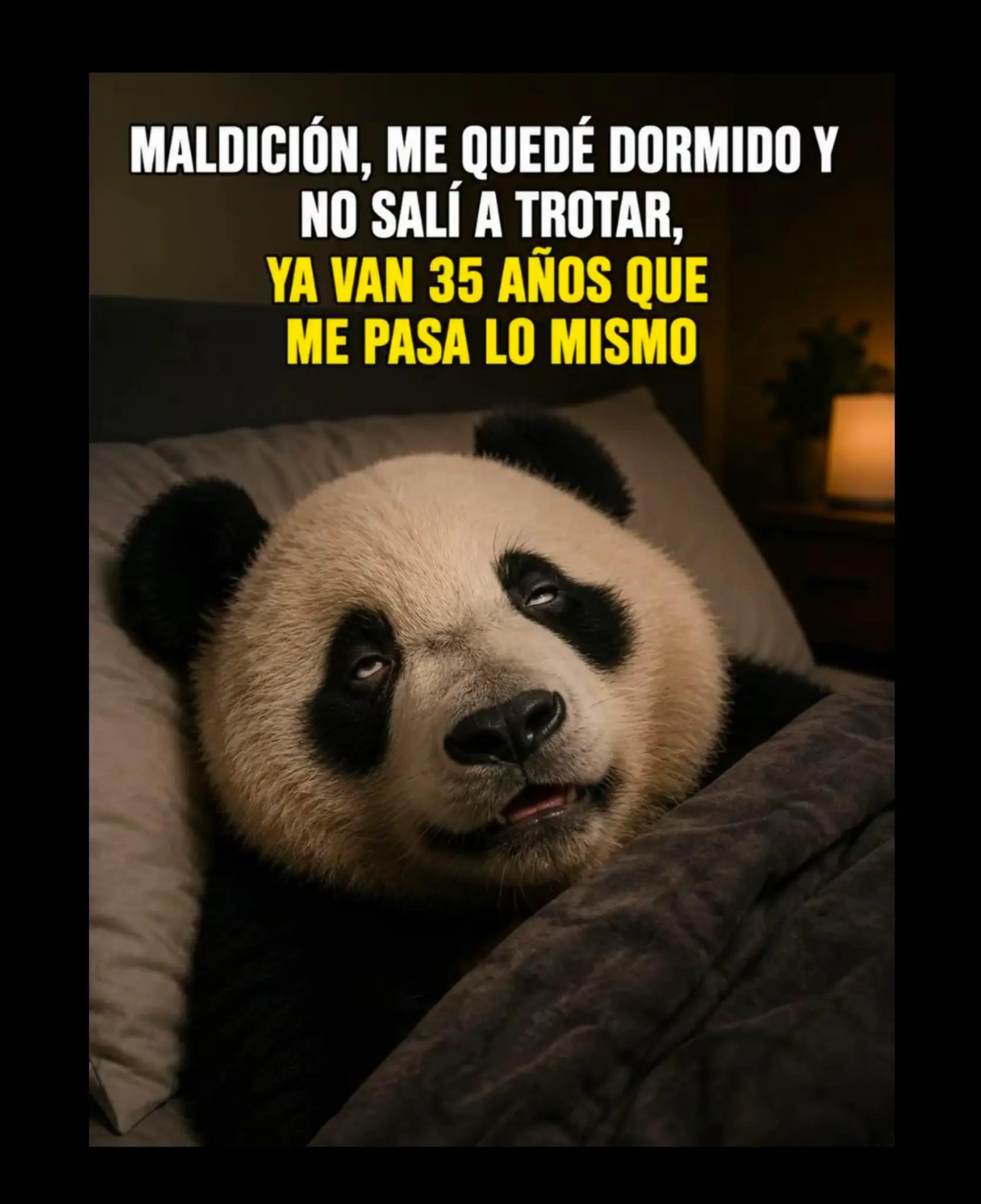 @Eddyrgm