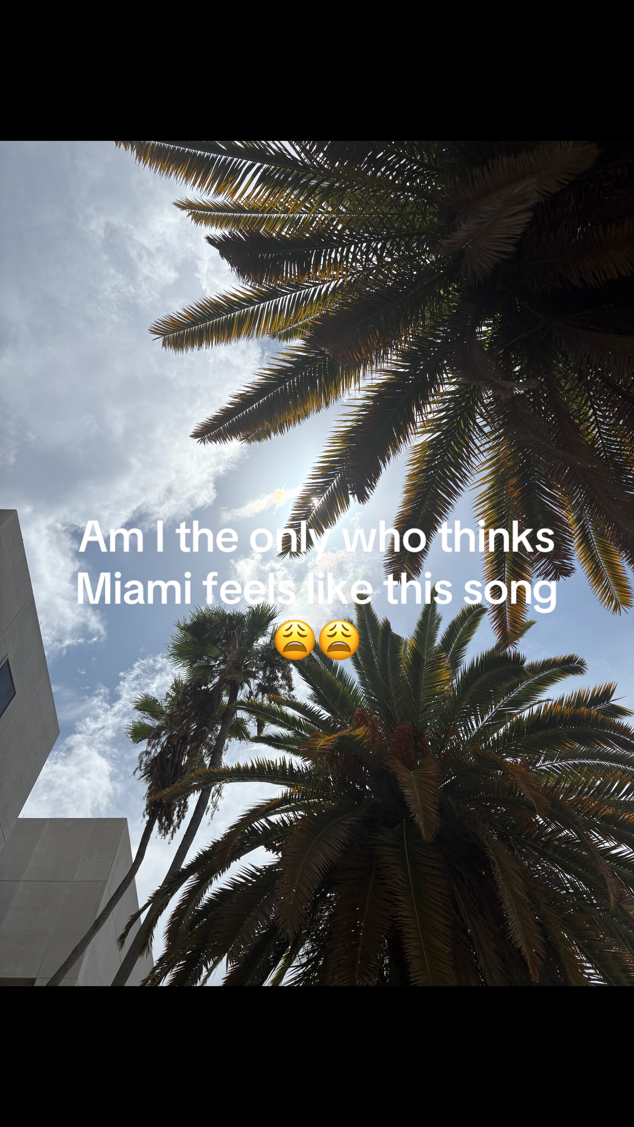 @userneedhelp🫯