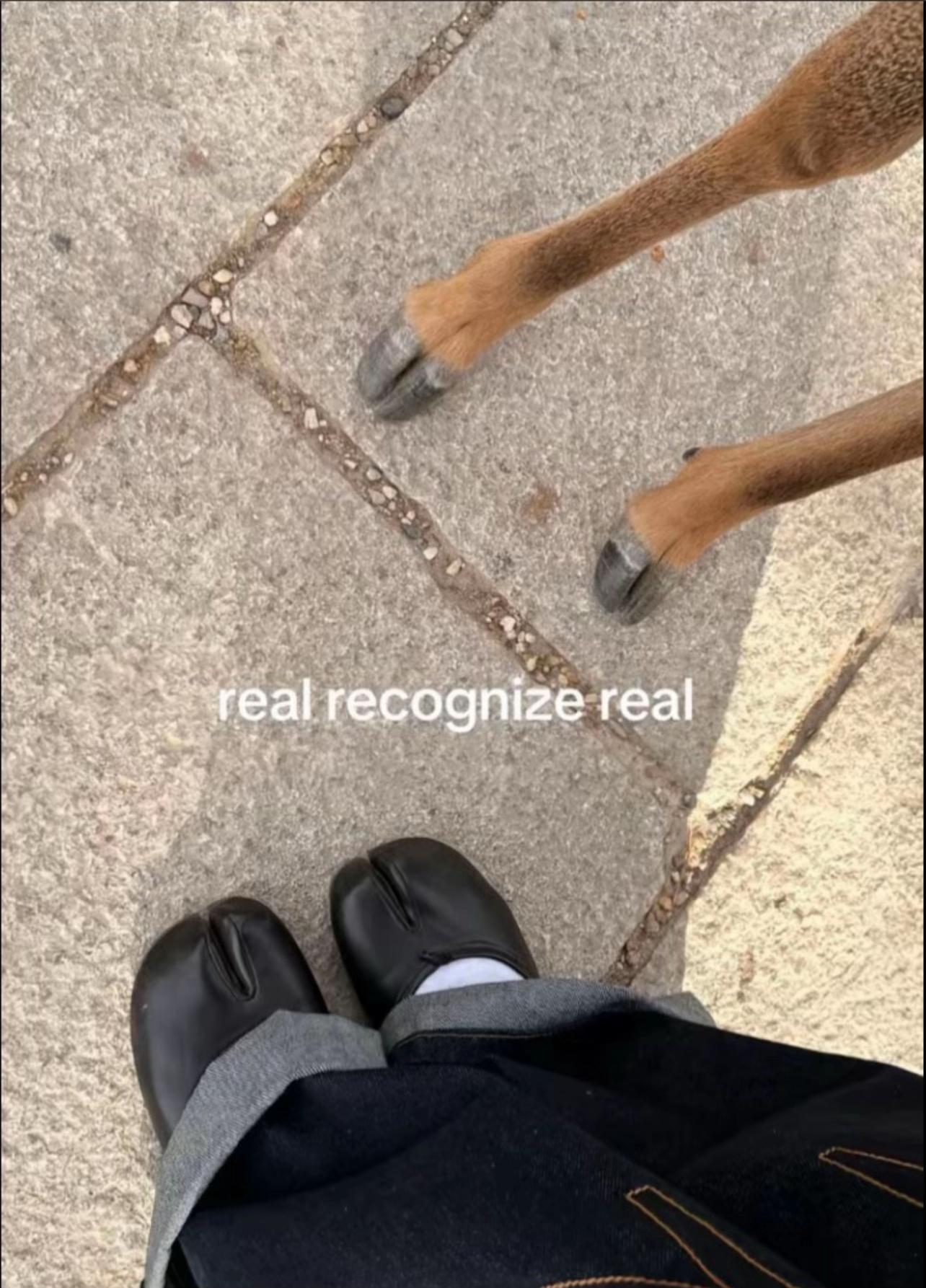 @Apvtheiv
