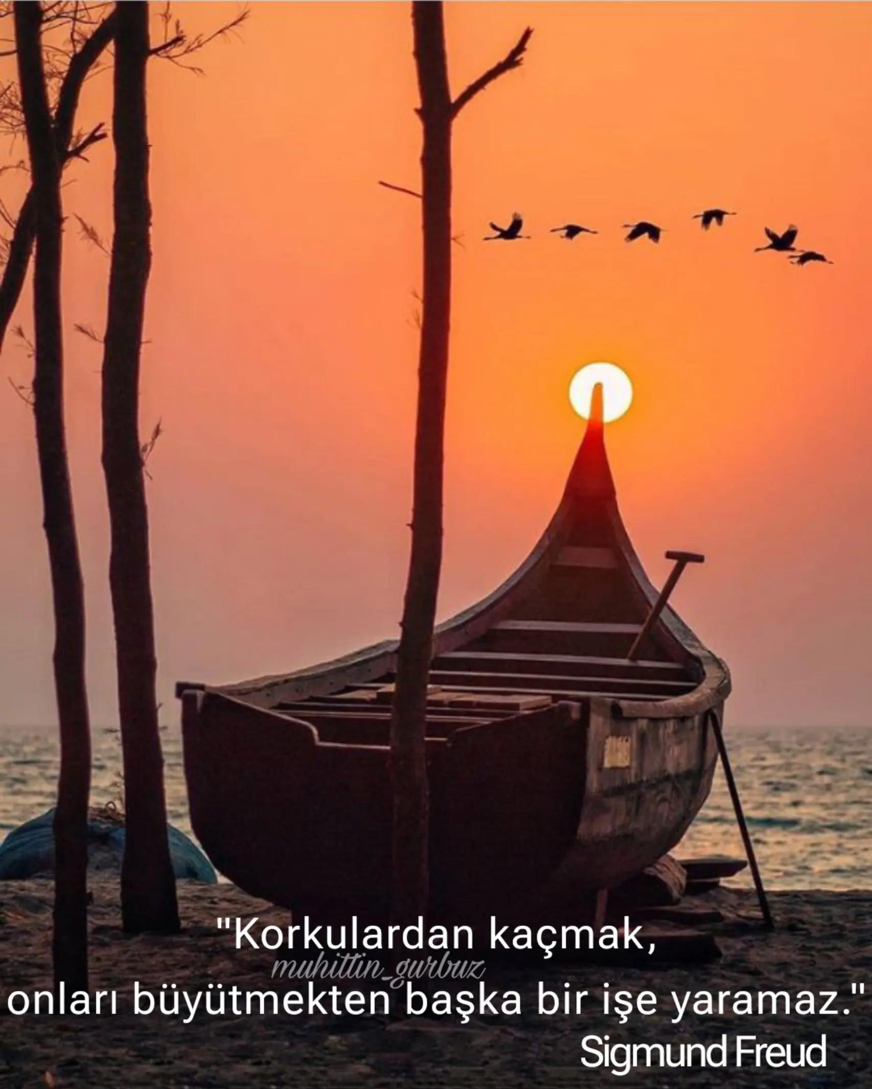 @🇹🇷 Muhittin44 🇹🇷