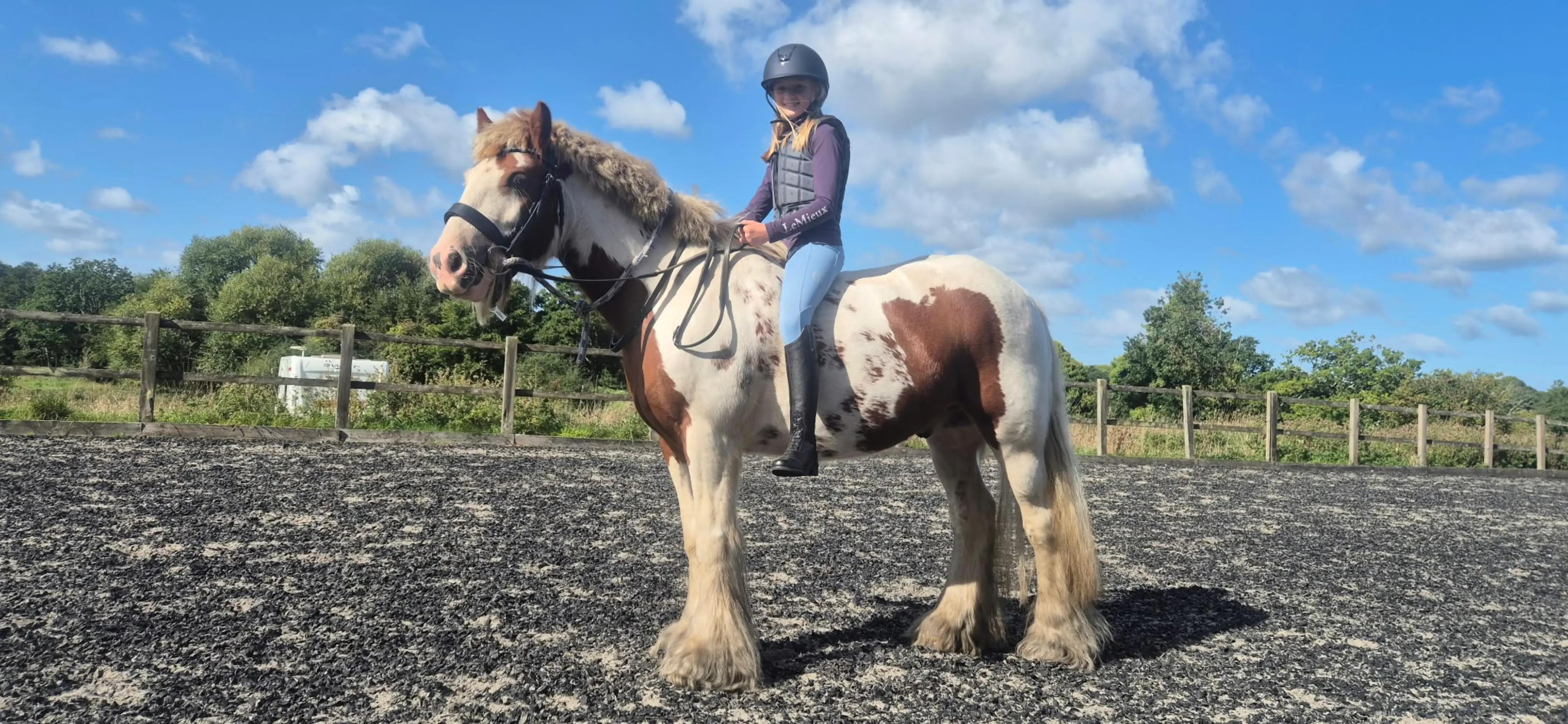 @🐎🩷Alexa and bobby 🩷🐴