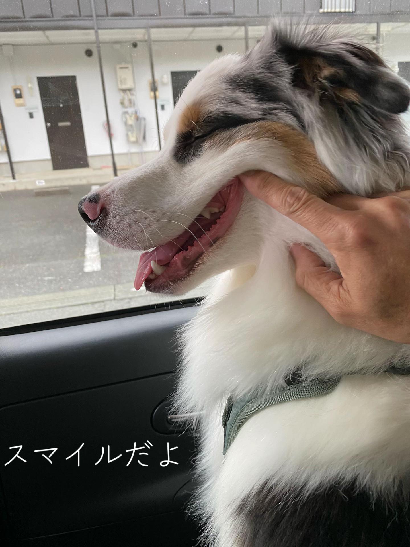 @サン&タマ