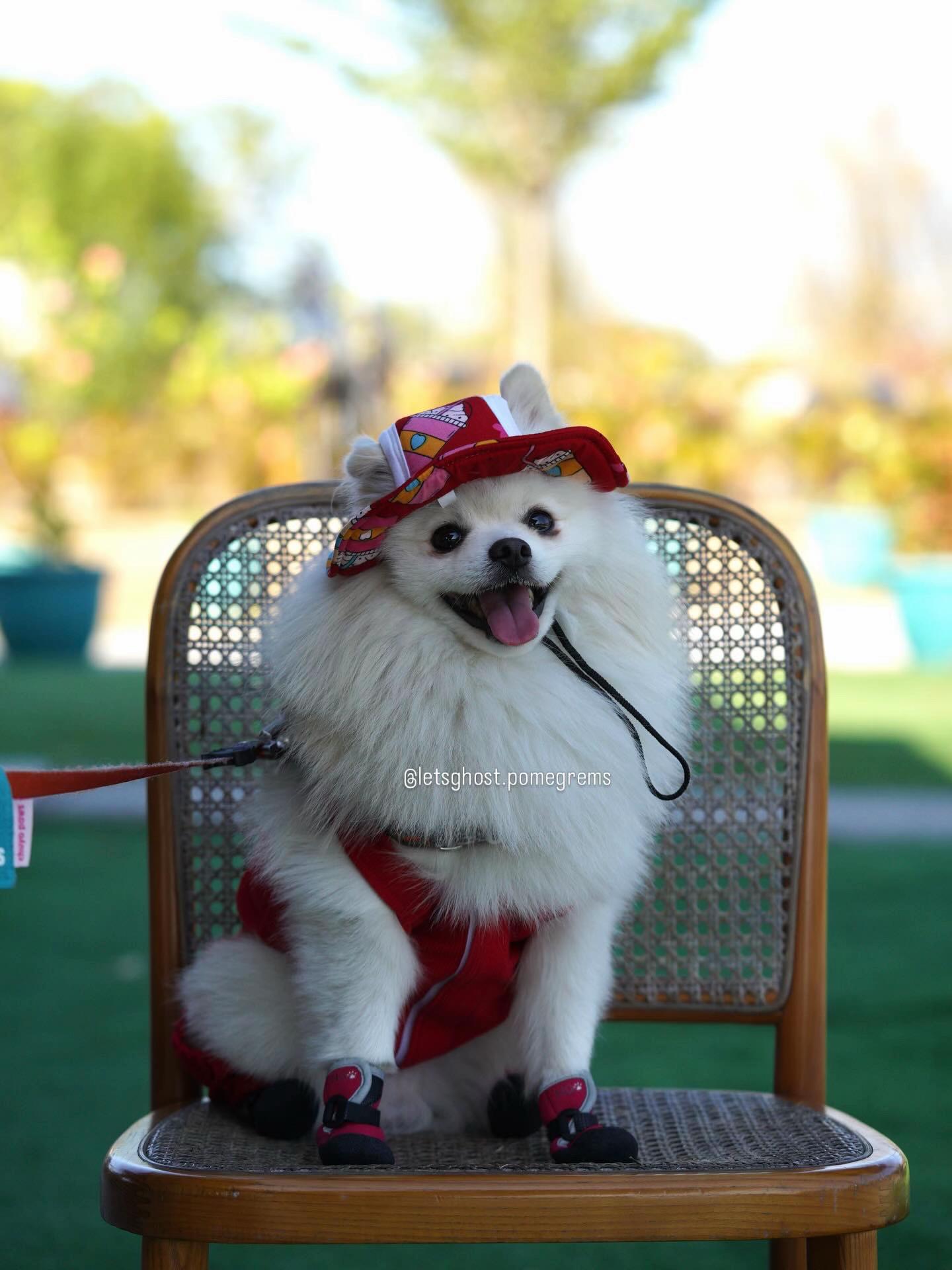 @G H O S T TheRunnerPom